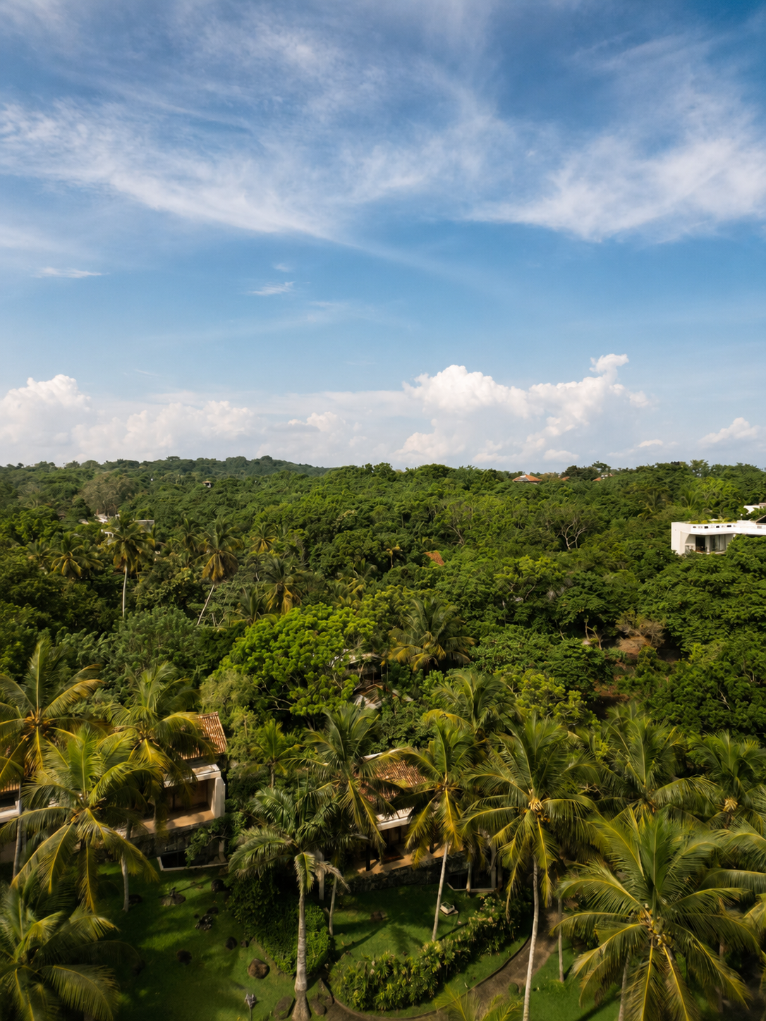 Where the Jungle Meets the Indian Ocean: Amanwella