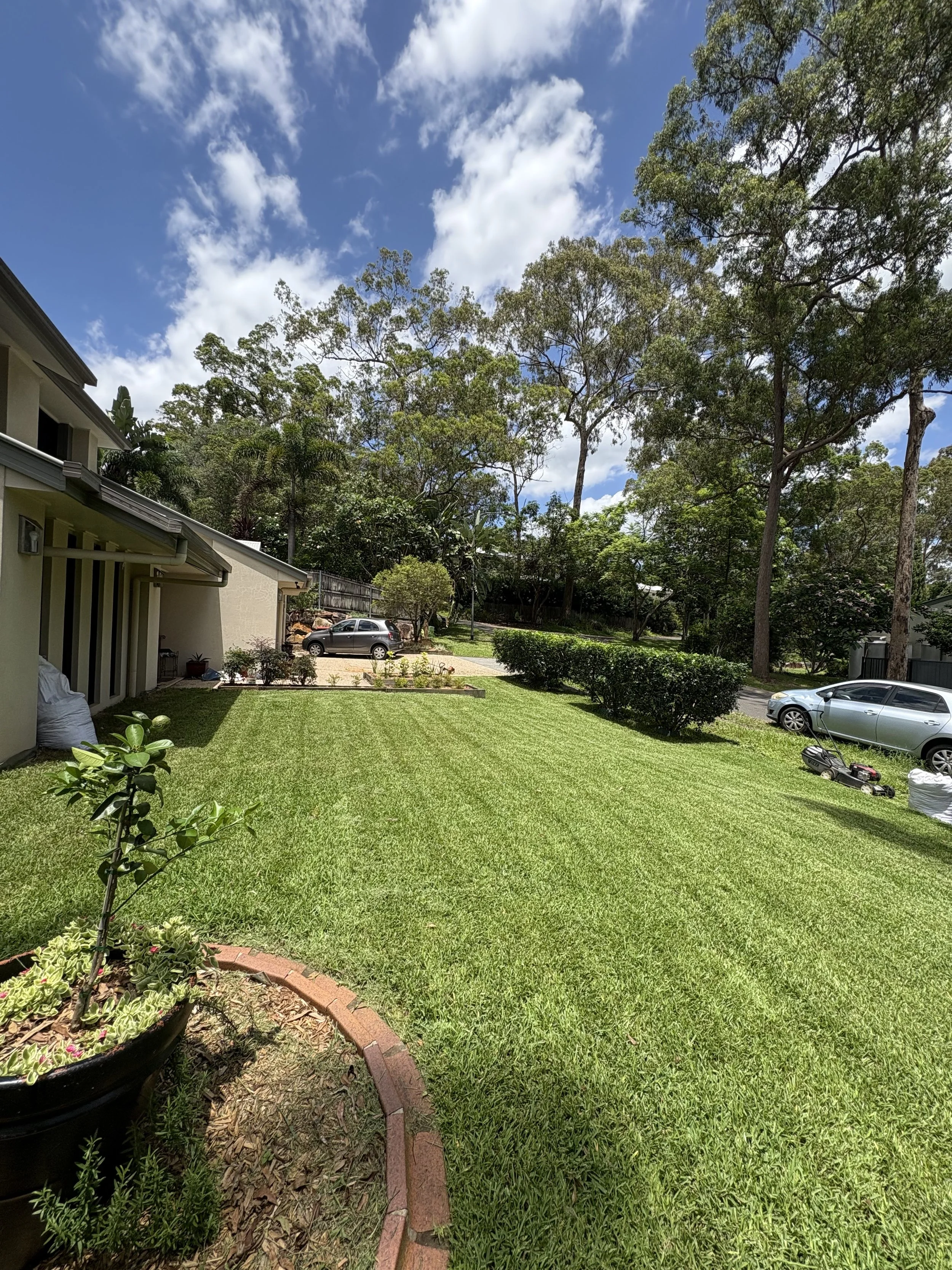 A backyard with a well-maintained green lawn, a brick-bordered flower bed with a small plant, and a house with a side view. There are trees, bushes, and parked cars under a partly cloudy sky.