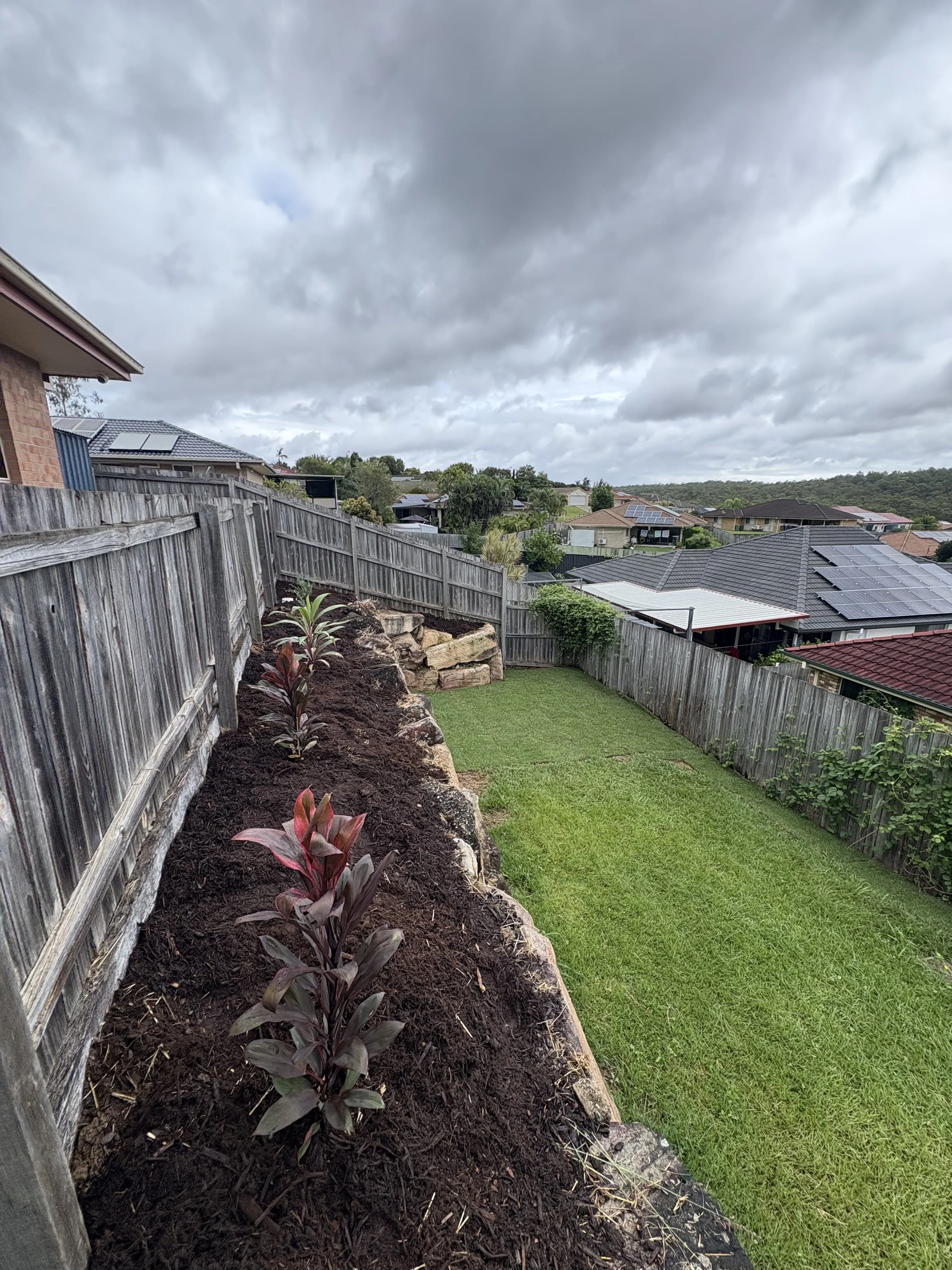 A backyard with a small garden bed along a wooden fence, with freshly planted red-leaved plants, next to a grass lawn under cloudy sky, neighboring houses with solar panels on roofs.