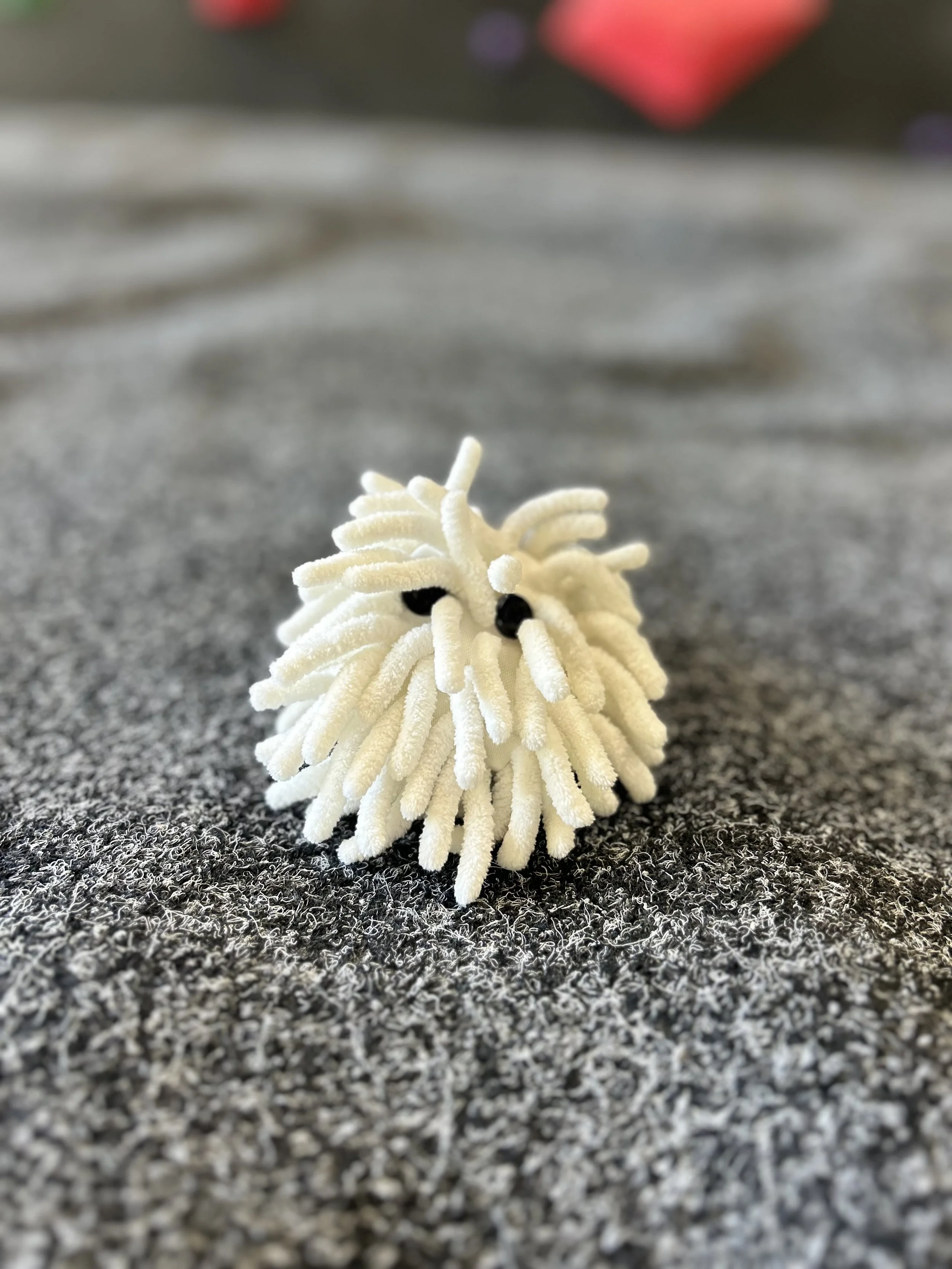 Midnight Lightening Chalktopus