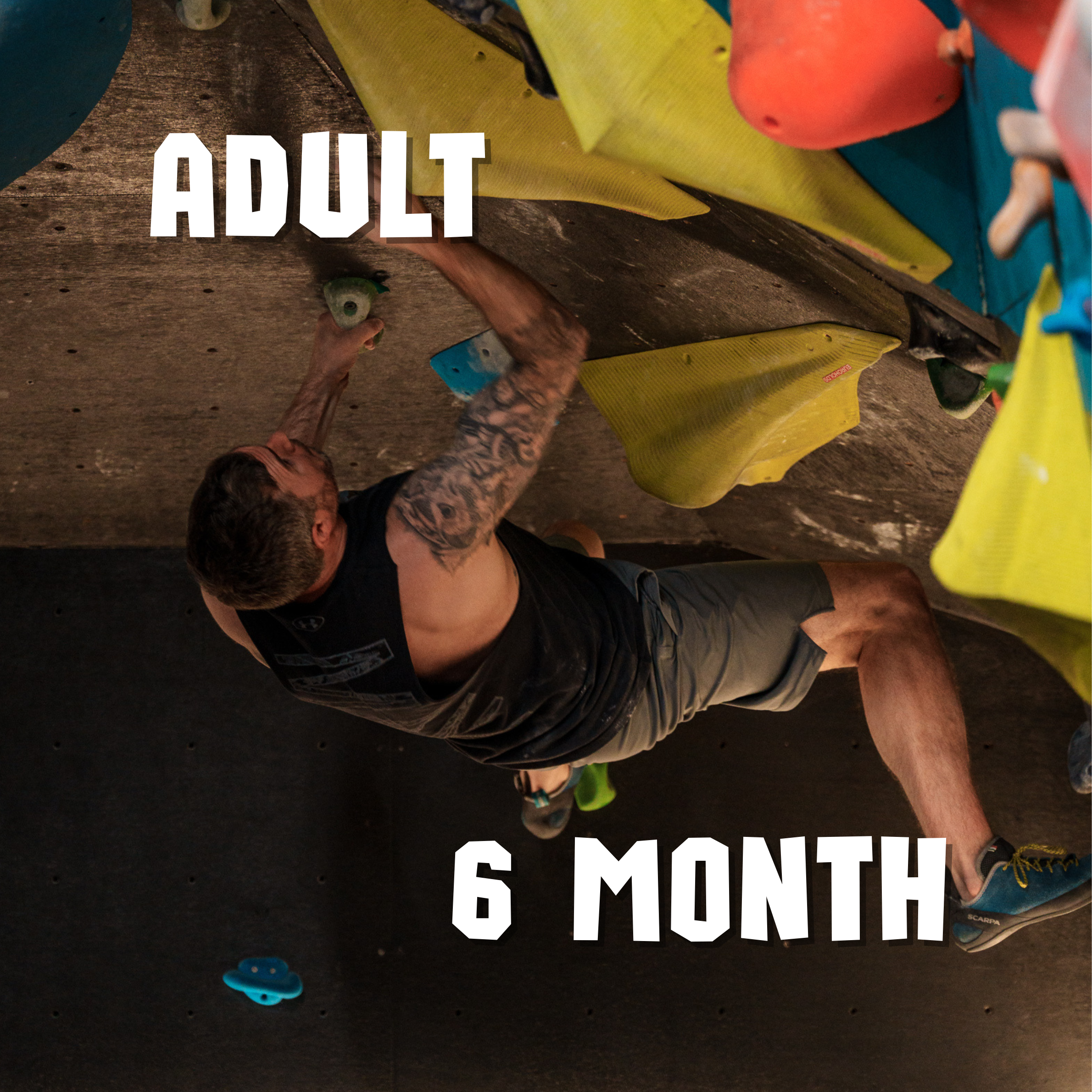 Adult - Membership - 6 months