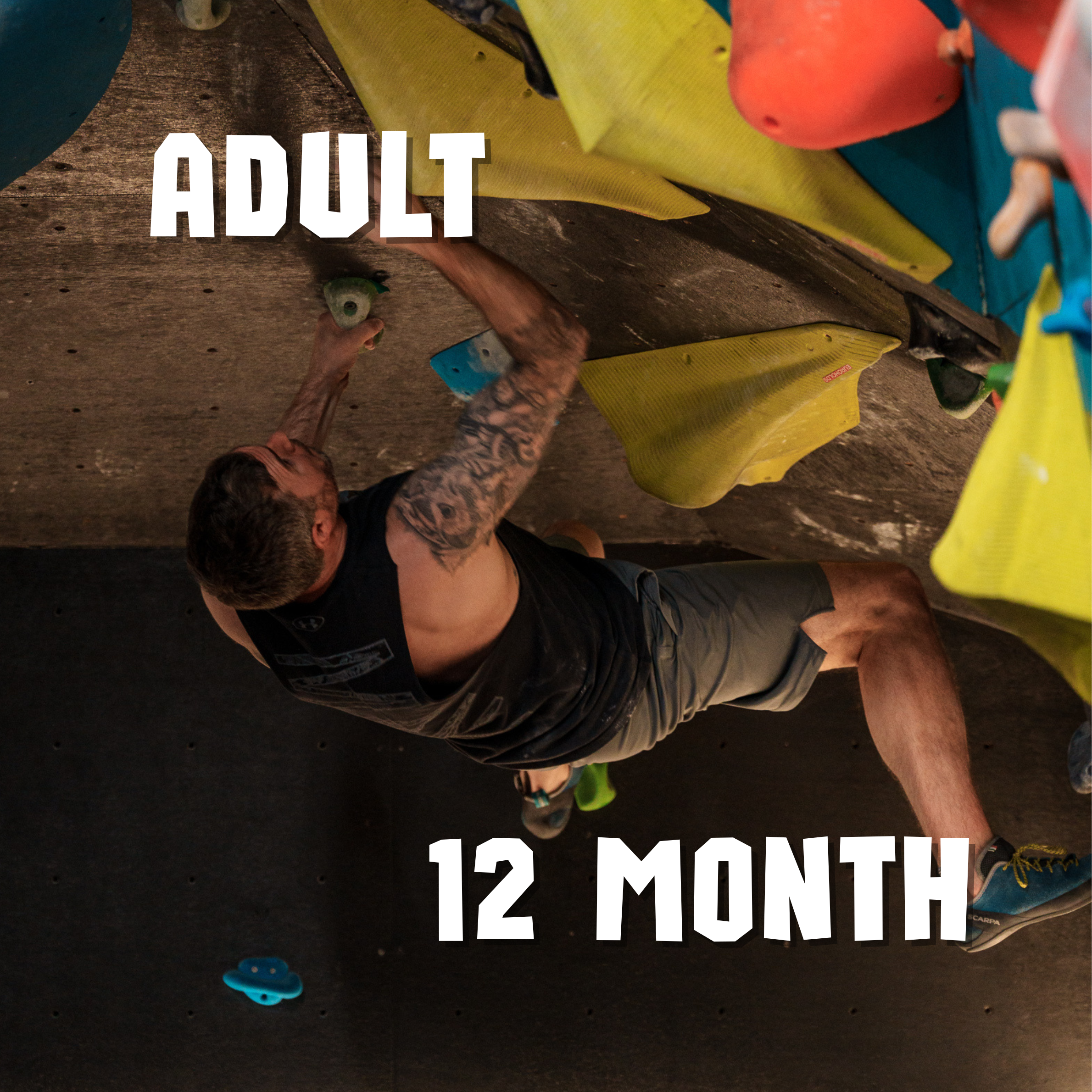 Adult - Membership - 12 months