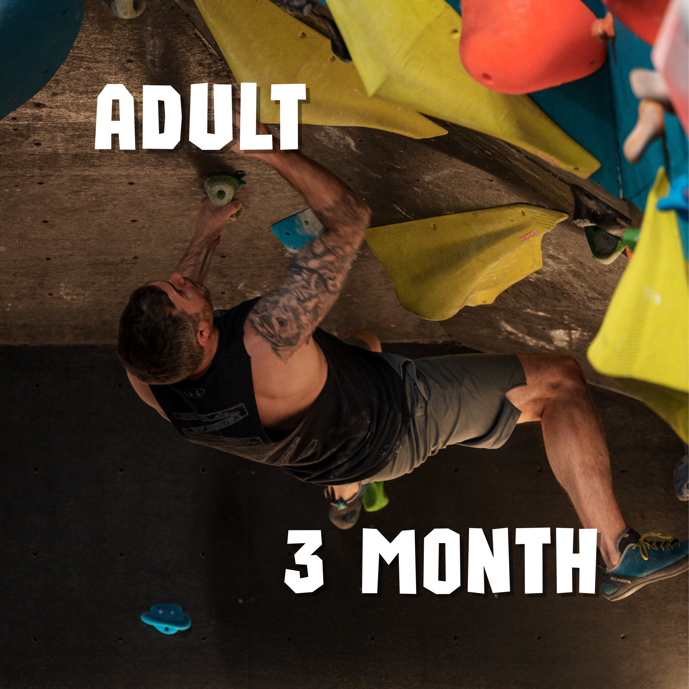 Adult - Membership - 3 months