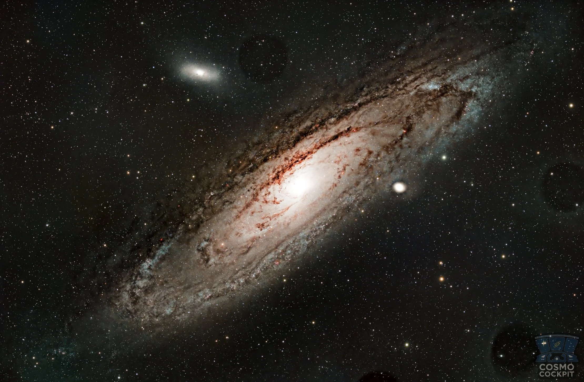 Andromeda: Our Neighbor Across the Cosmic Sea