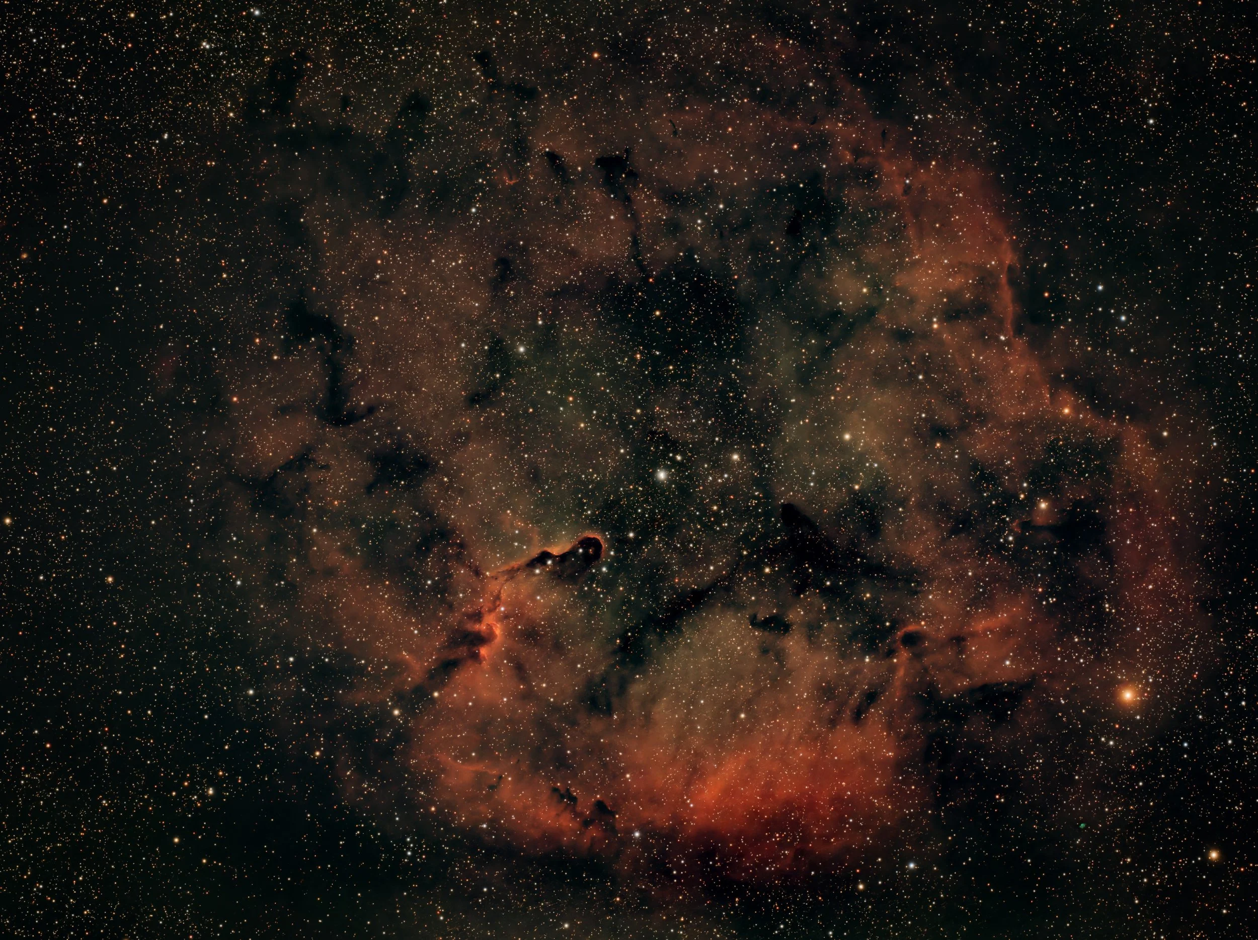 Elephant's Trunk Nebula (IC 1396): A Cosmic Silhouette in Cepheus