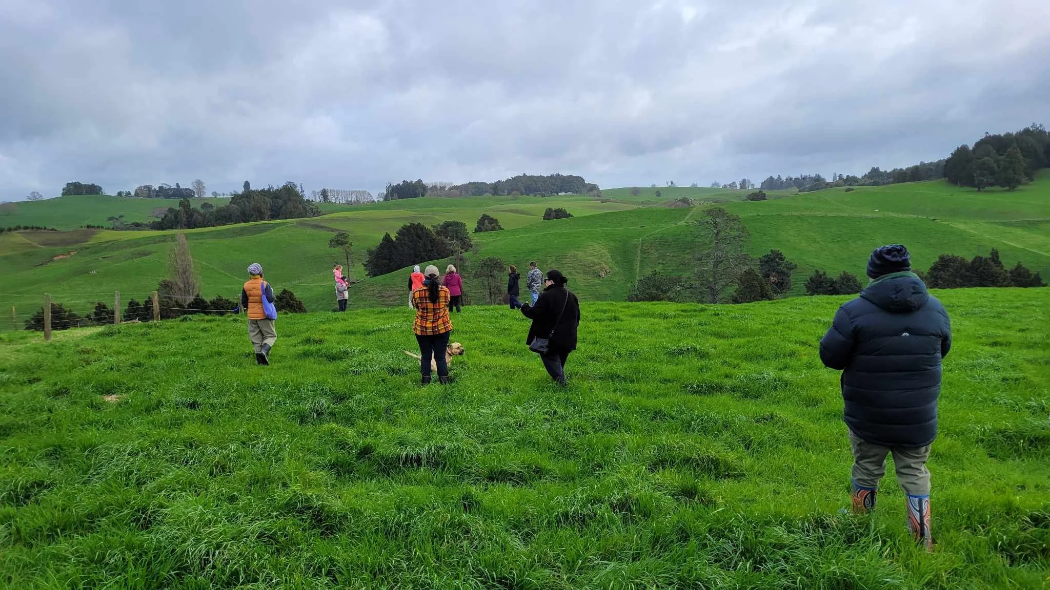 Group of people walking and standing in a green grassy field with rolling hills in the background under a cloudy sky.