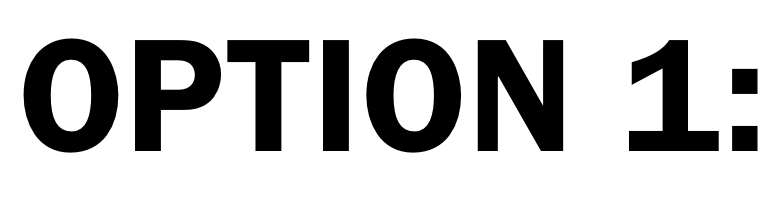 Text that reads 'OPTION 1:' in bold black font on a white background.