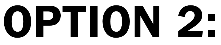 The image displays bold black text on a white background that reads "OPTION 2:".