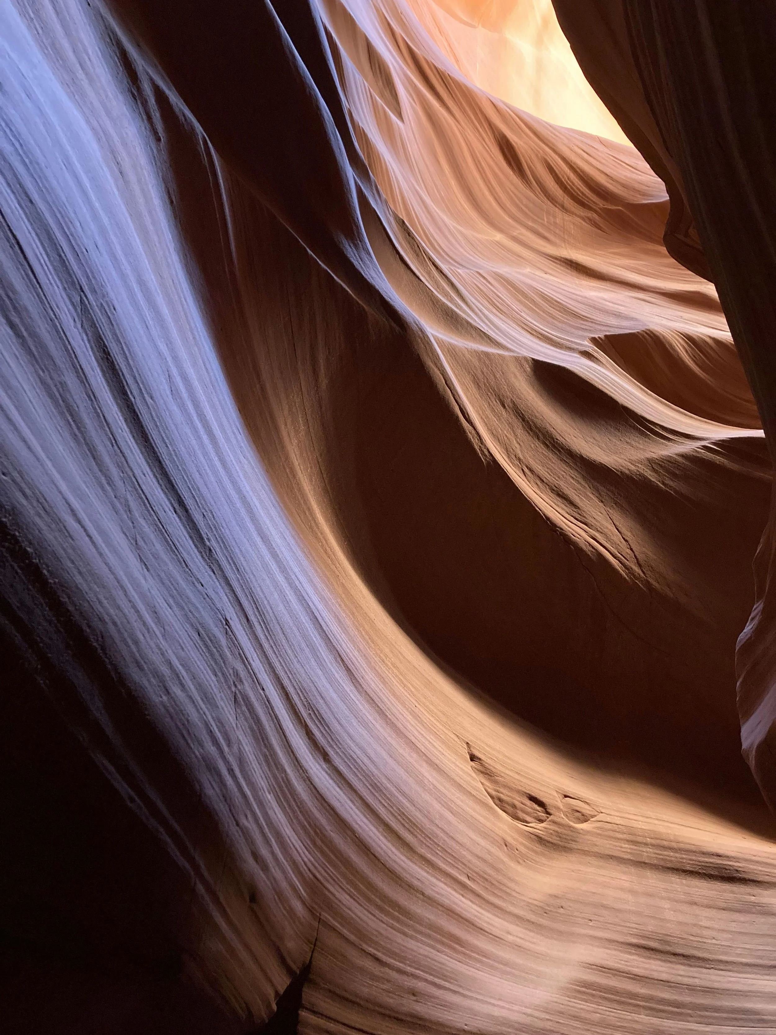 Elisha v Vision Australia Limited [2024] HCA 50&nbsp;