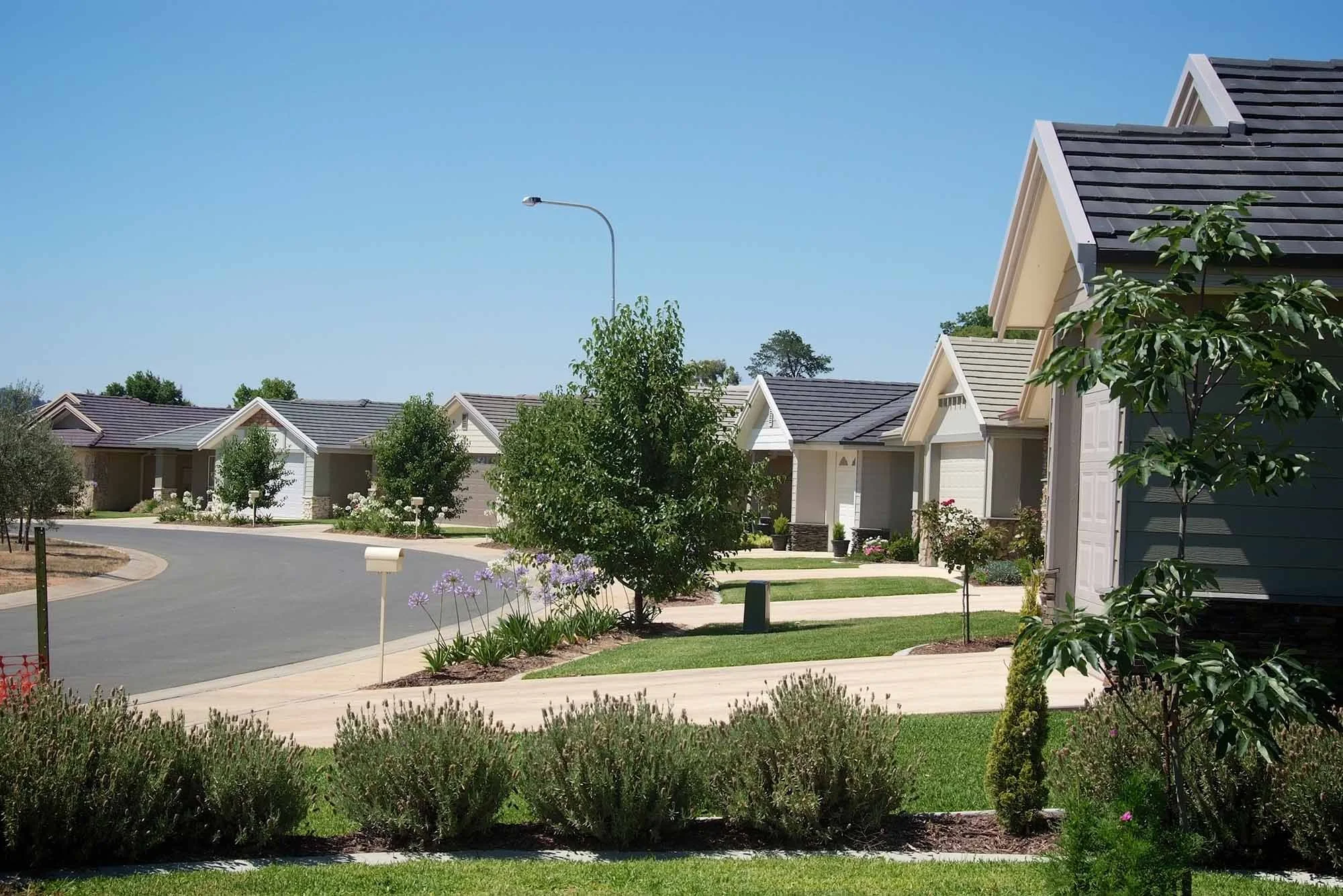 A suburban neighborhood with single-family homes, well-maintained lawns, trees, and flower beds on a sunny day.