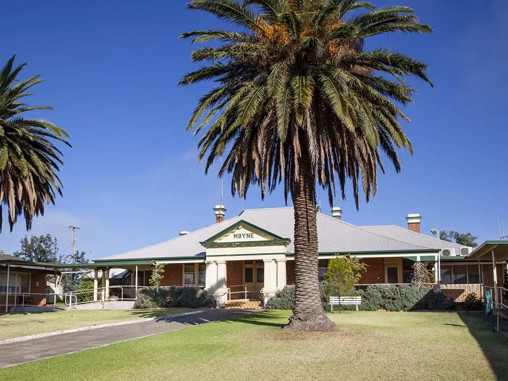 A historic brick building named Moyne with a large palm tree in front, green lawn, and clear blue sky.