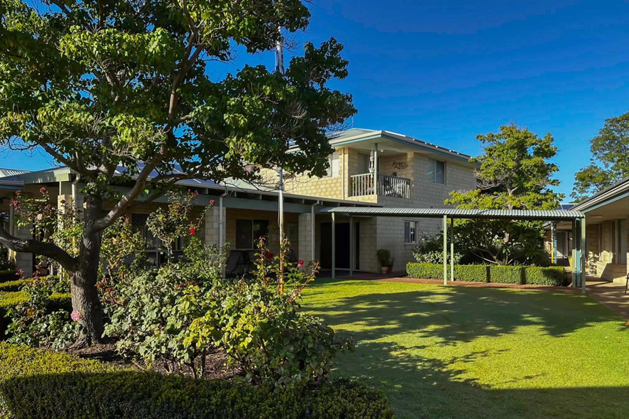Residential house with a yard, green lawn, trees, and plants under a blue sky.