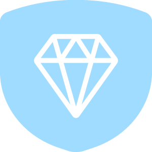 Black diamond icon on a light blue shield background.