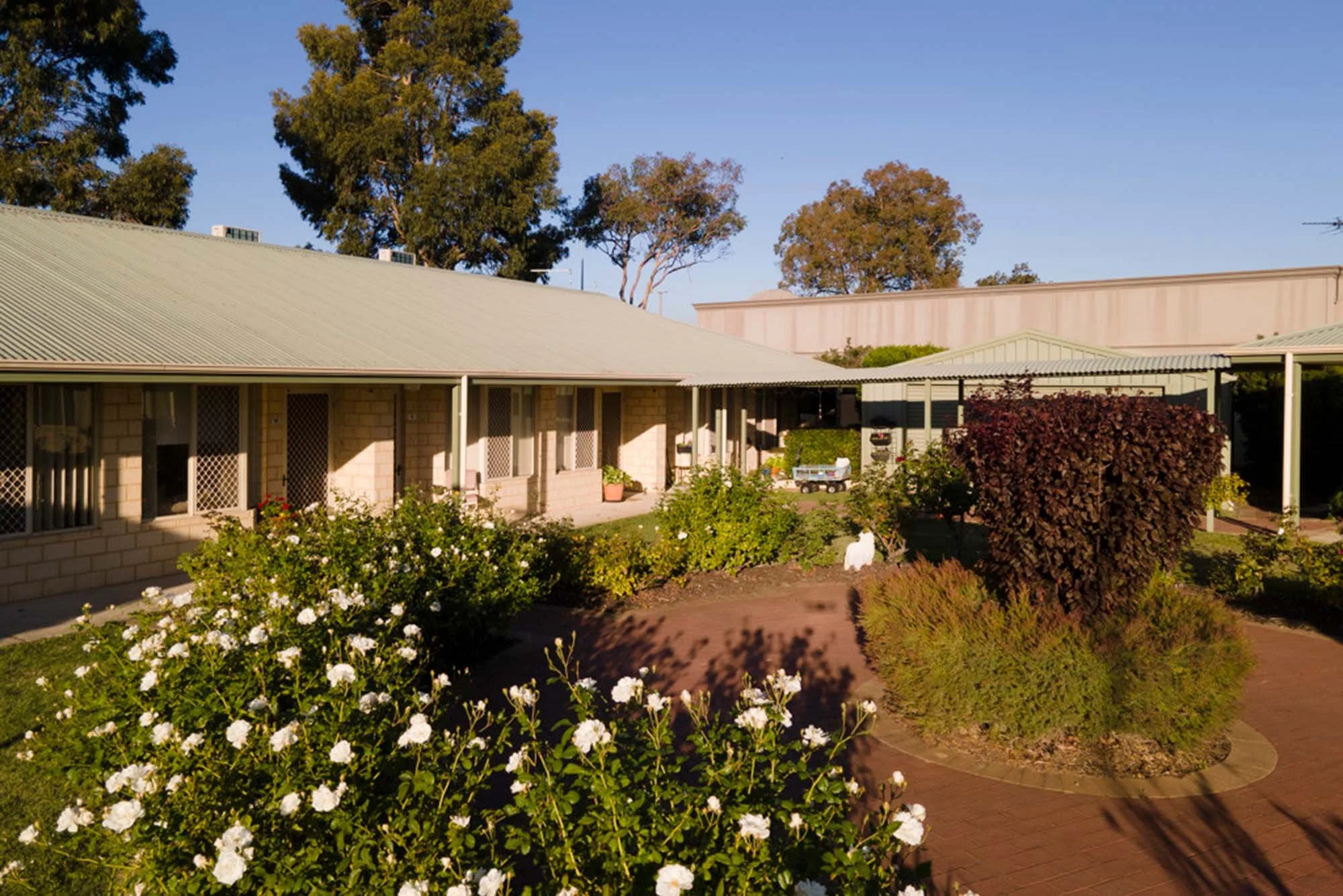 A courtyard with flowering bushes, leading to single-story buildings with cream-colored brick walls and metal roofs, shaded by trees, with a clear blue sky overhead.