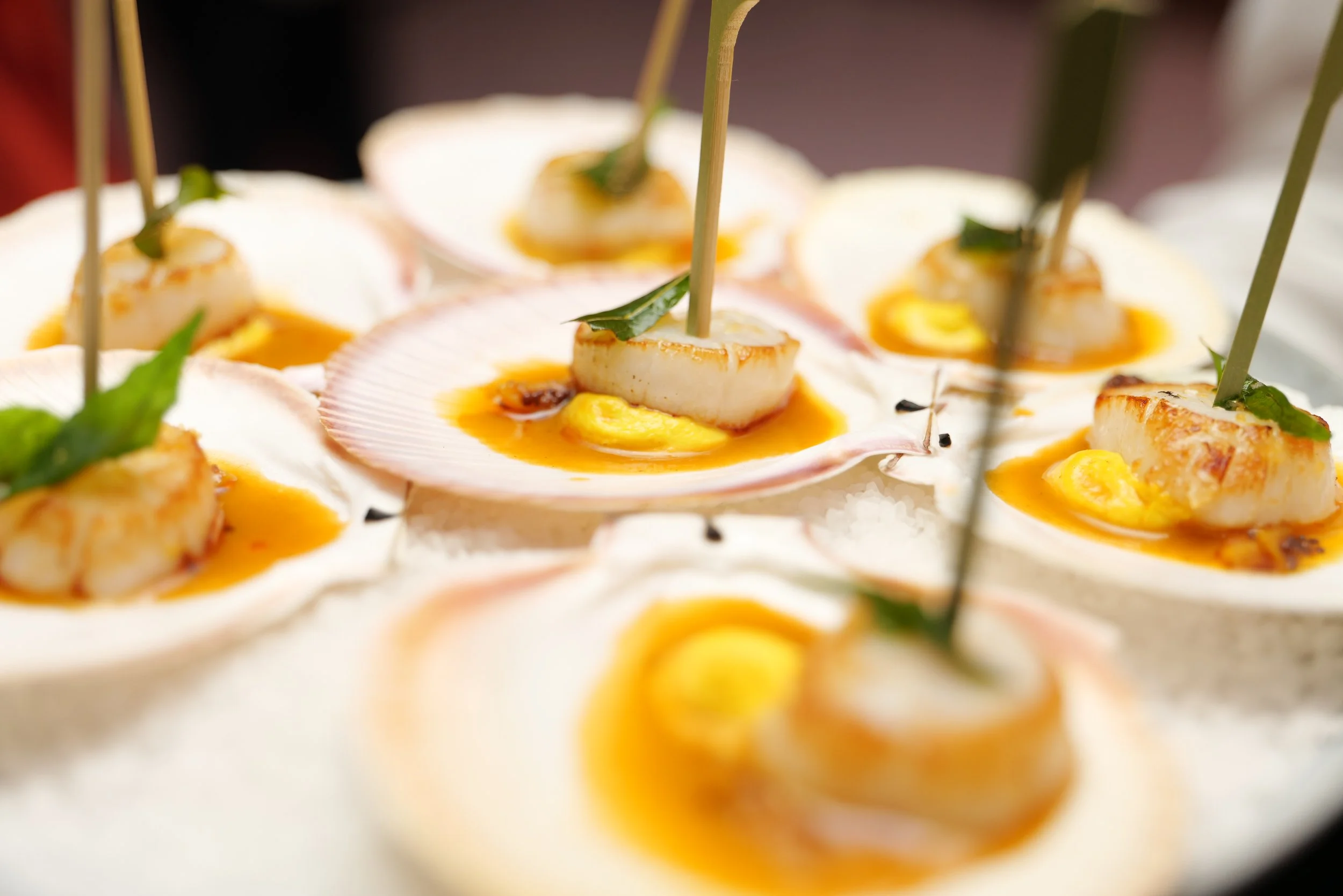Close-up of scallops served in shells with a yellow sauce, garnished with green herbs and presented on a white surface.