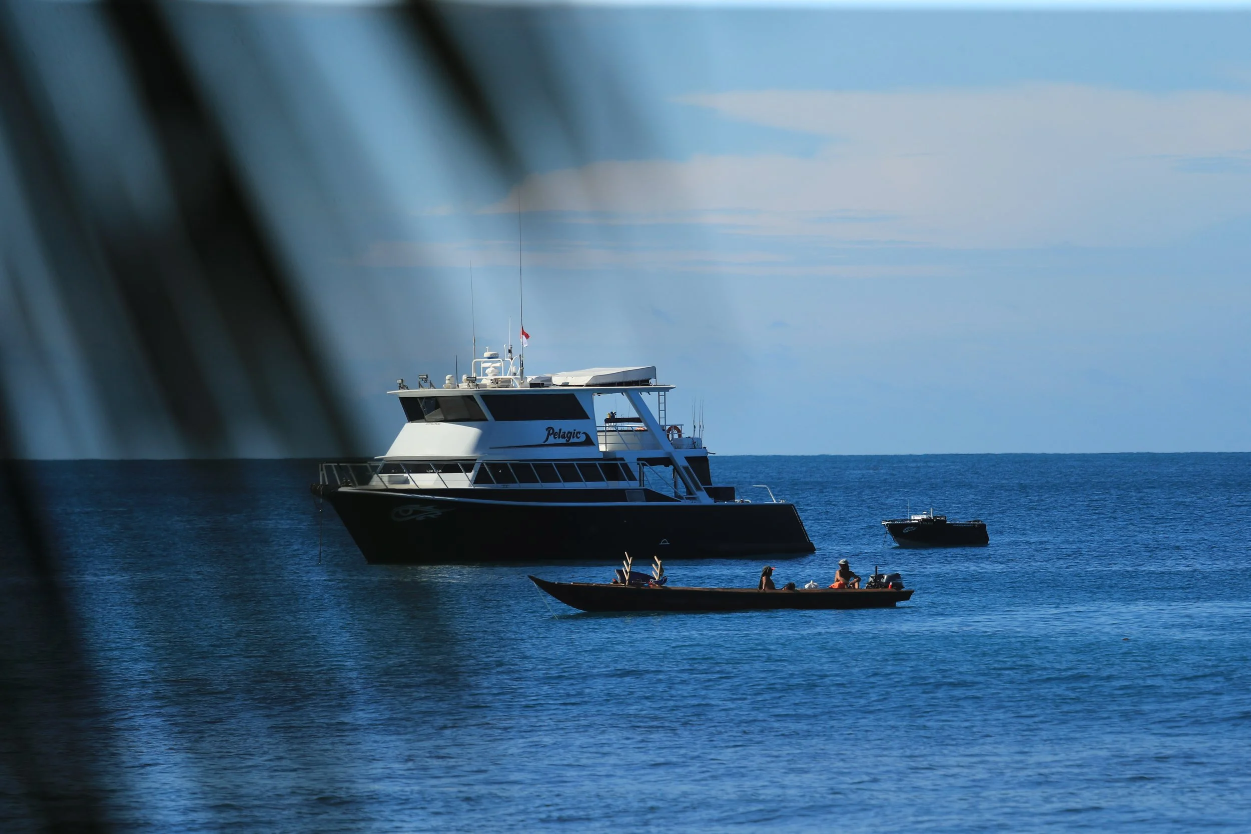 Large black and white yacht on the water with two smaller boats nearby, blurry leaves in the foreground, blue sky and calm sea.