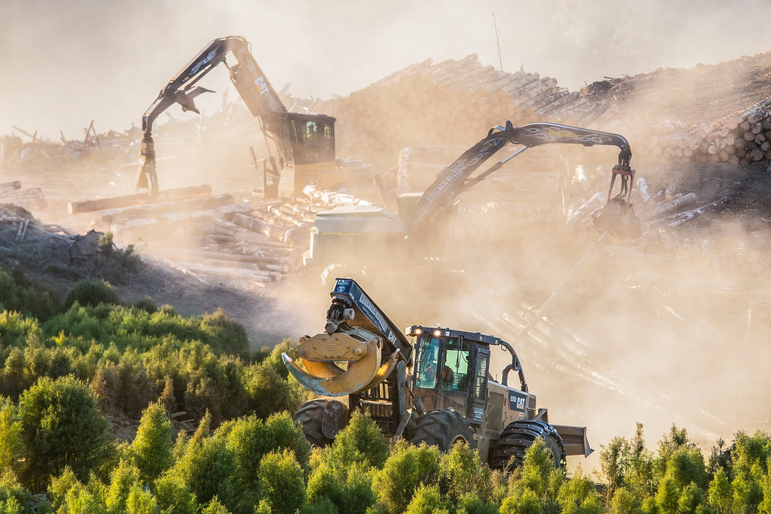 Two large excavation machines working on a logging site, moving logs and clearing a hillside, surrounded by green bushes and a haze of dust.