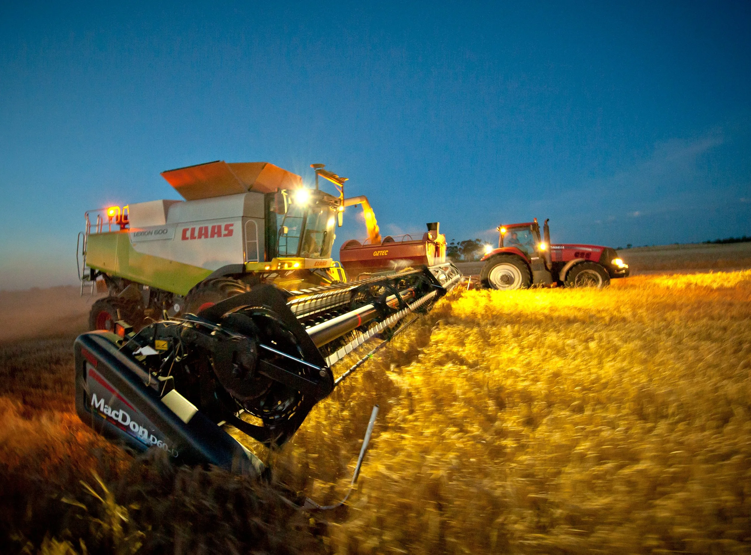 A combine harvester and tractor working together in a wheat field during dusk, with the combine pouring harvested wheat into a trailer.