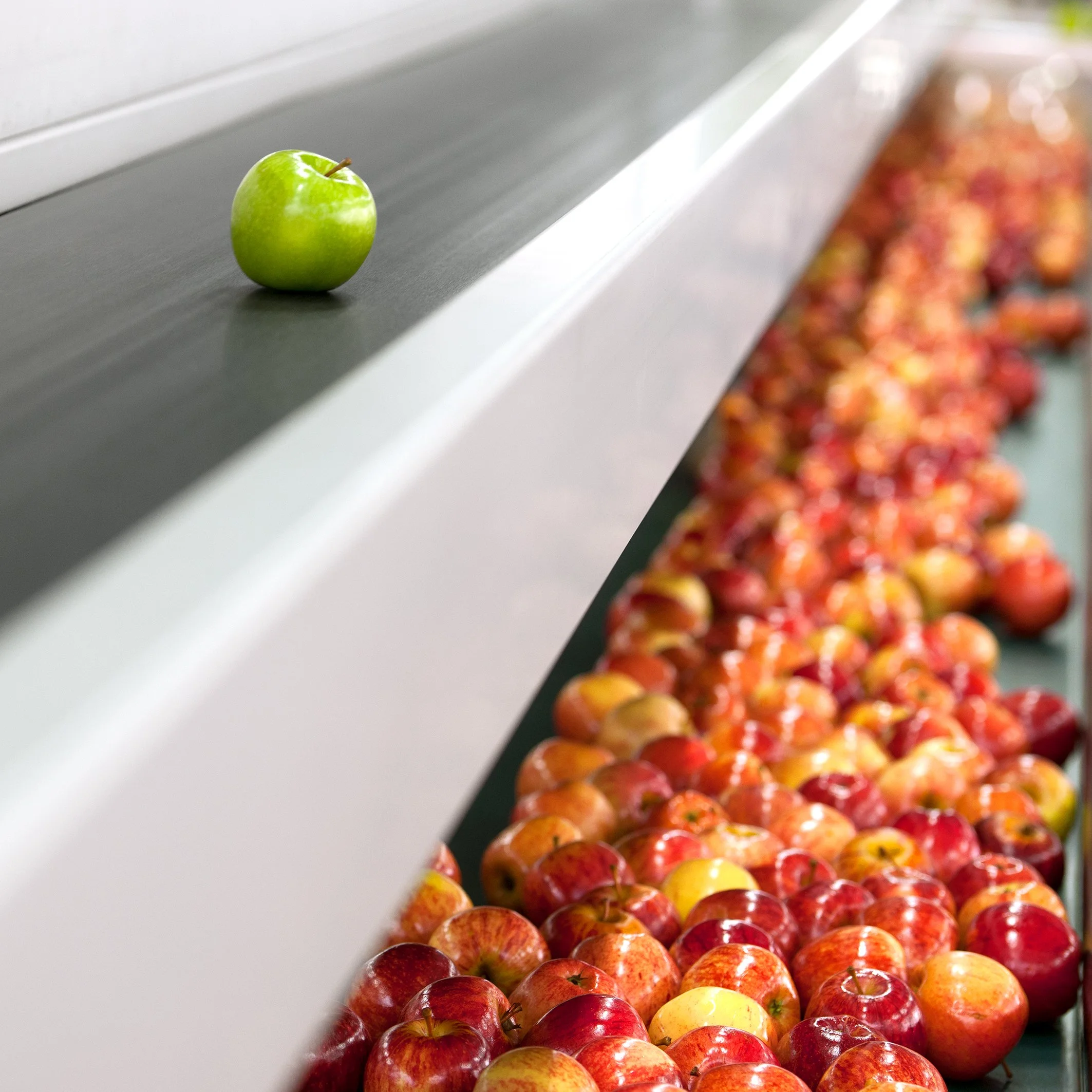Green apple on a black countertop near a line of red and yellow apples.