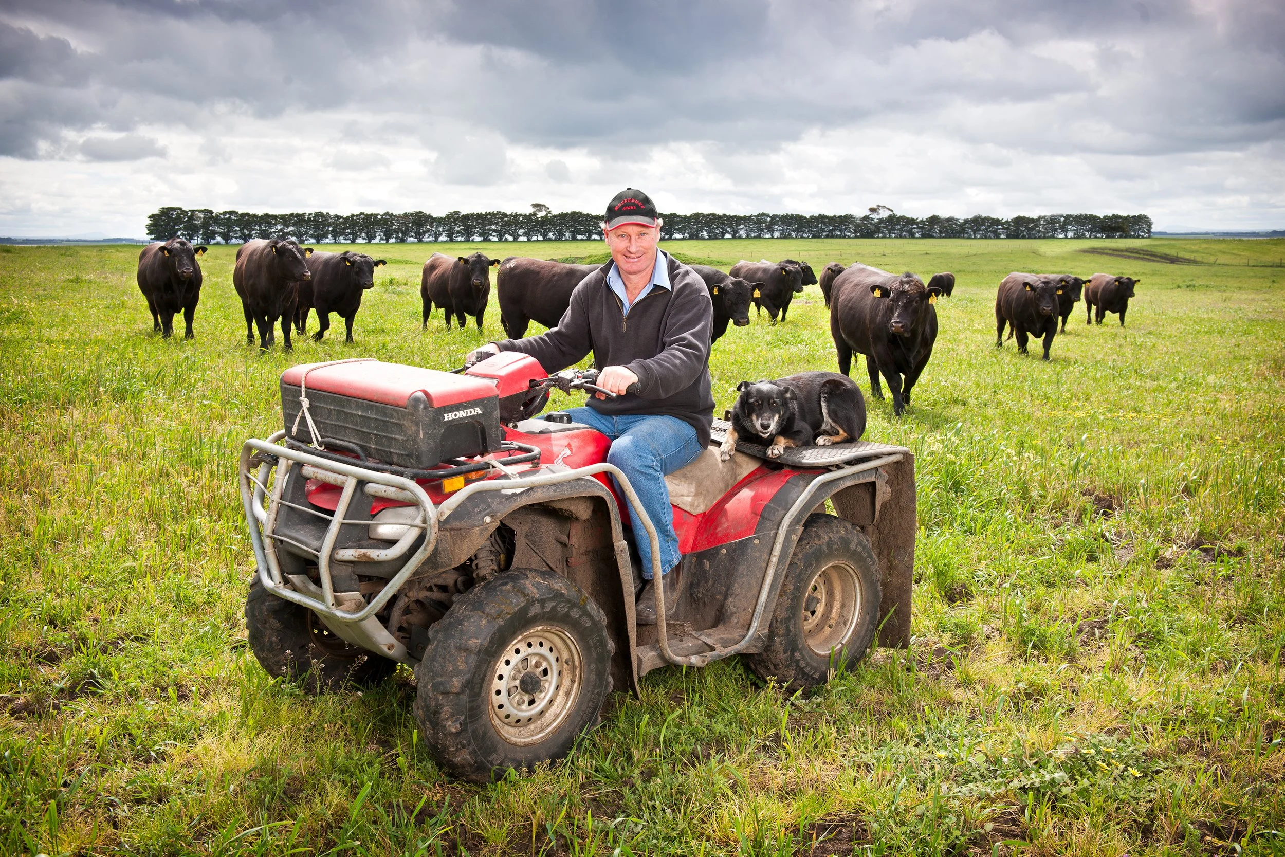 A man sitting on a red ATV in a field with a black and white dog lying beside him, surrounded by cows in the distance and cloudy sky above.