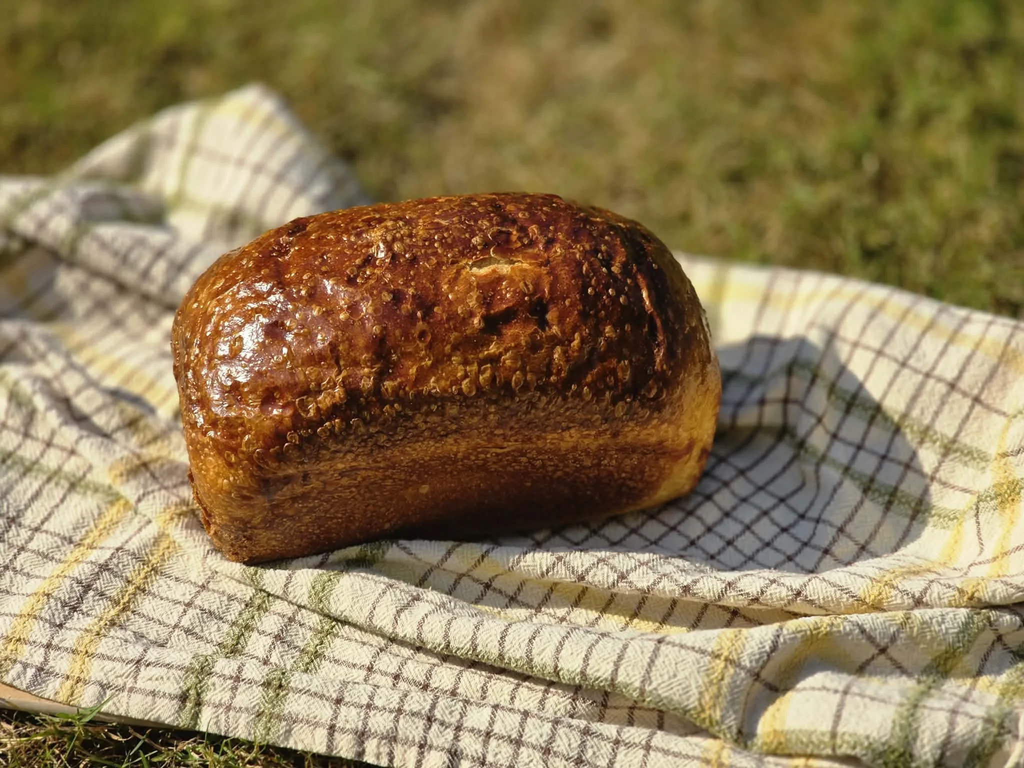 Sourdough Sandwich Bread