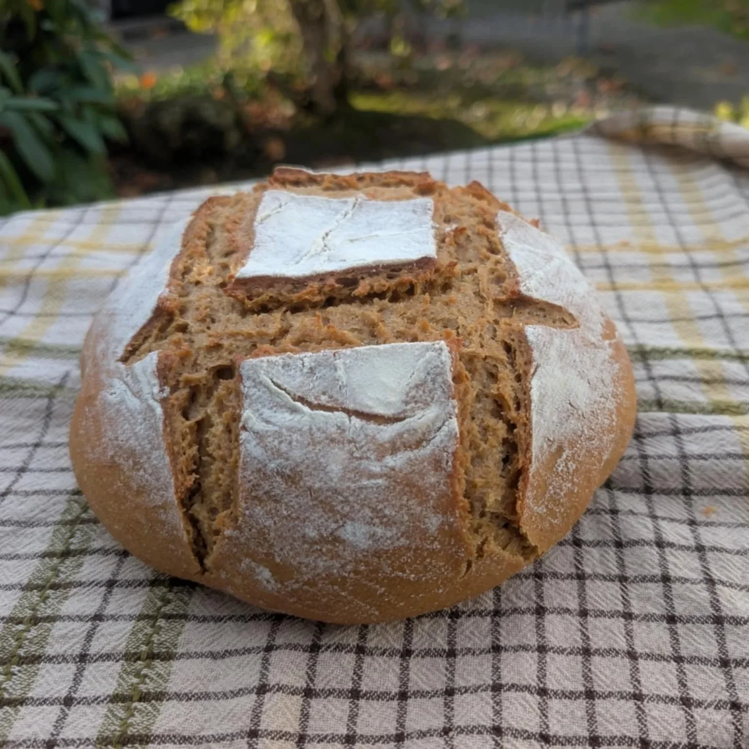 Einkorn Sourdough Bread 2.2Lb (1000gr)