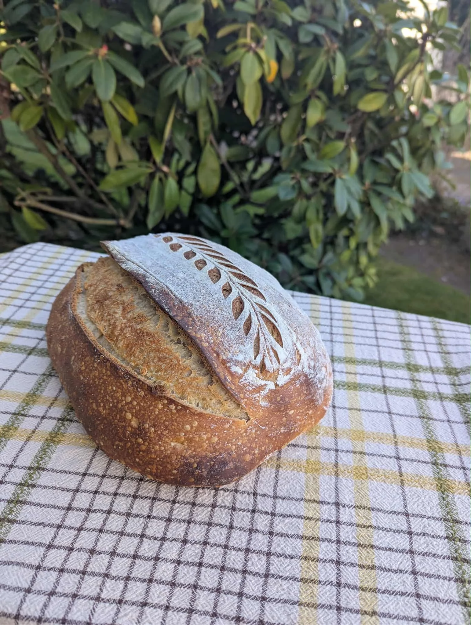 Classic Sourdough Bread 1.87Lb (850gr)