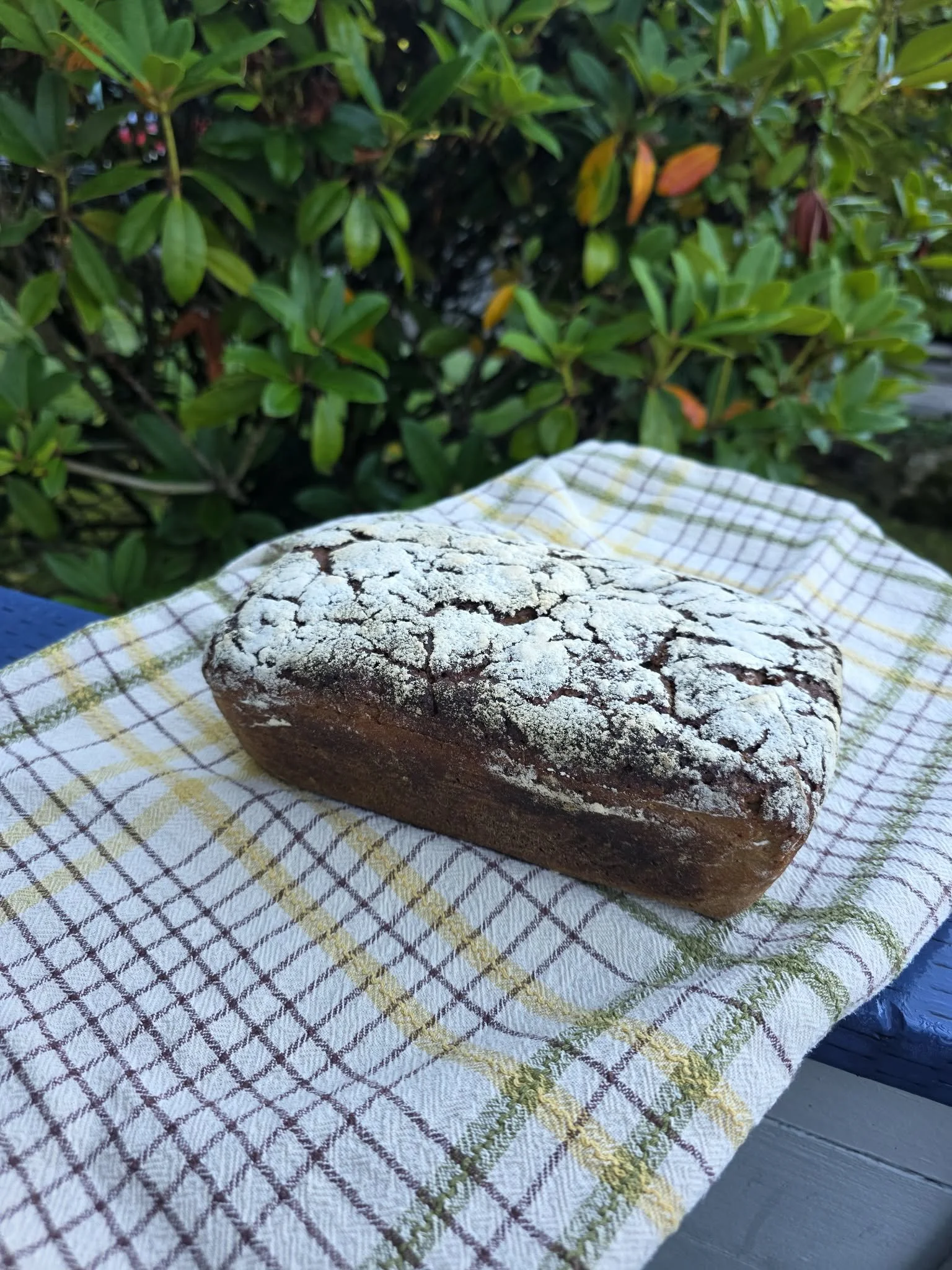 Rye Sourdough bread in Kirkland.jpg