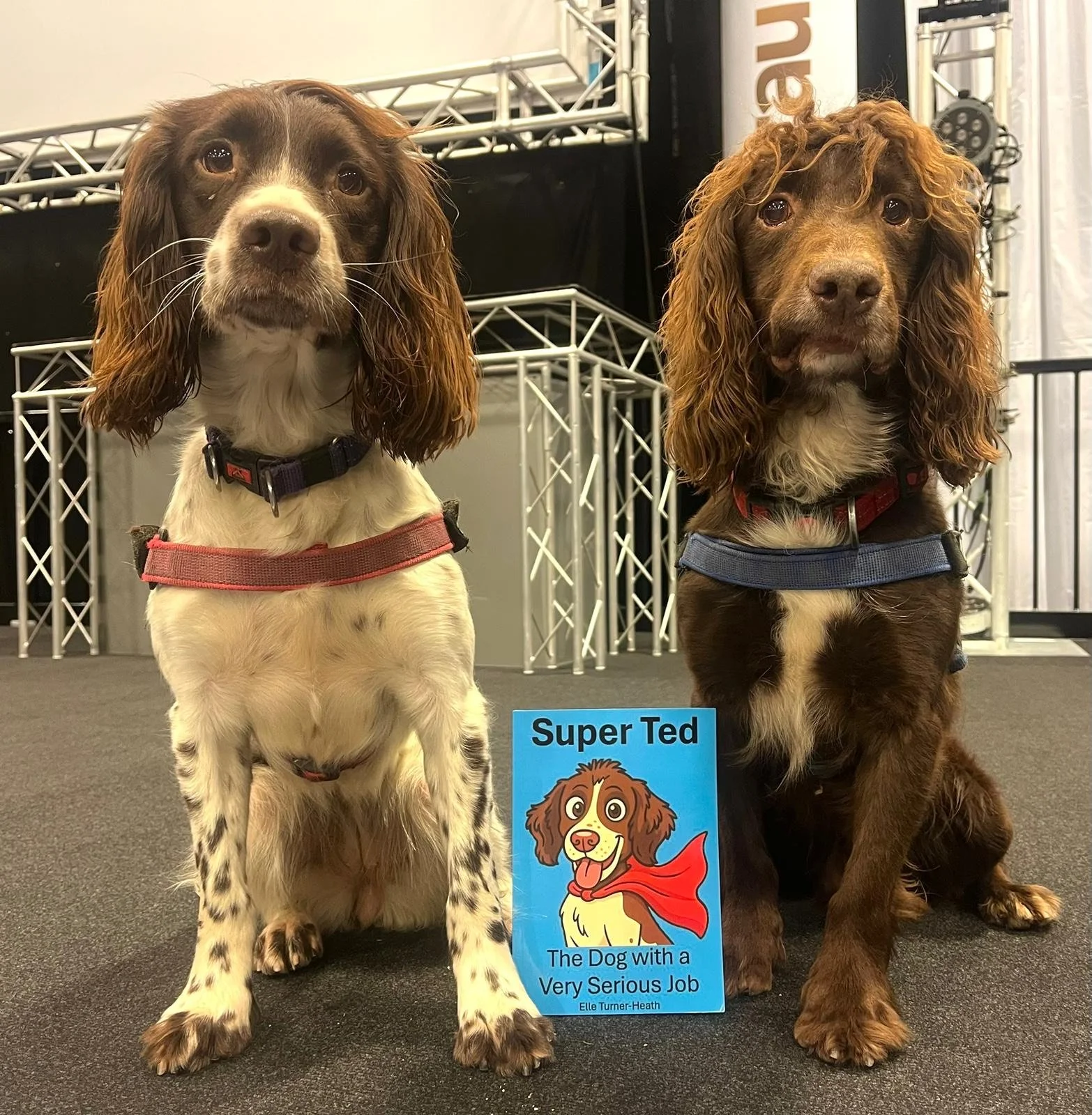 Winnie and Ace loving the new book.