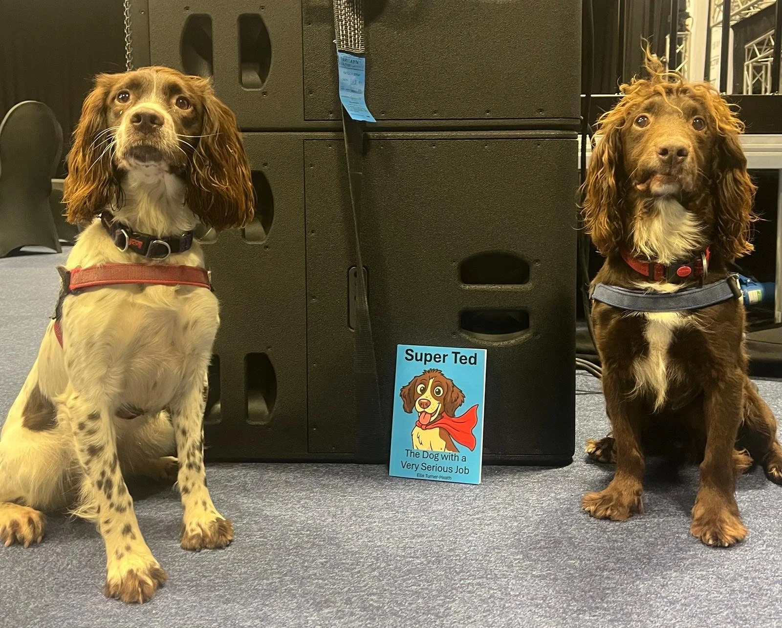 A quick read before work. Winnie and Ace