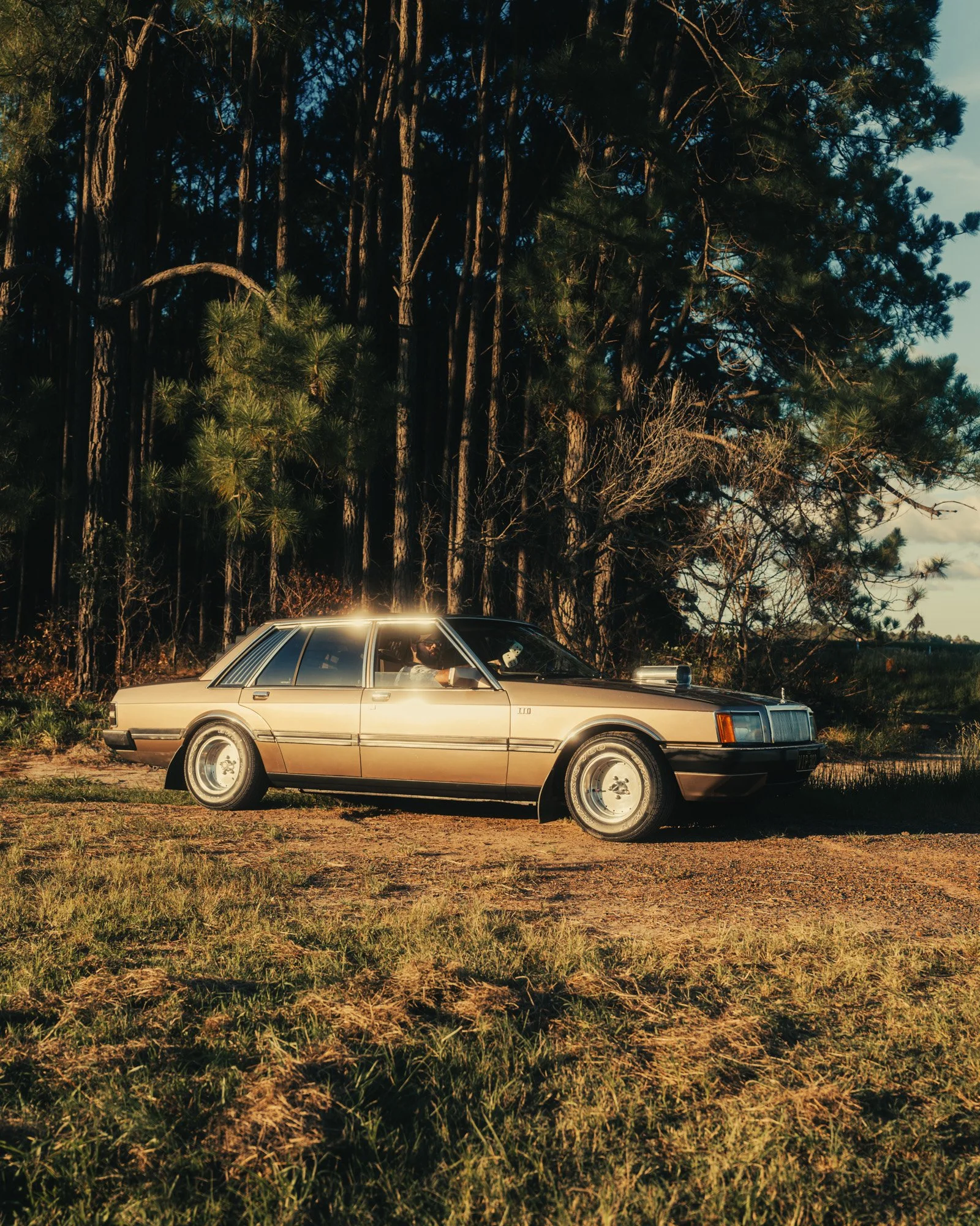 CHRIS SWEETAPPLE - LTD - GOLD-2.jpg