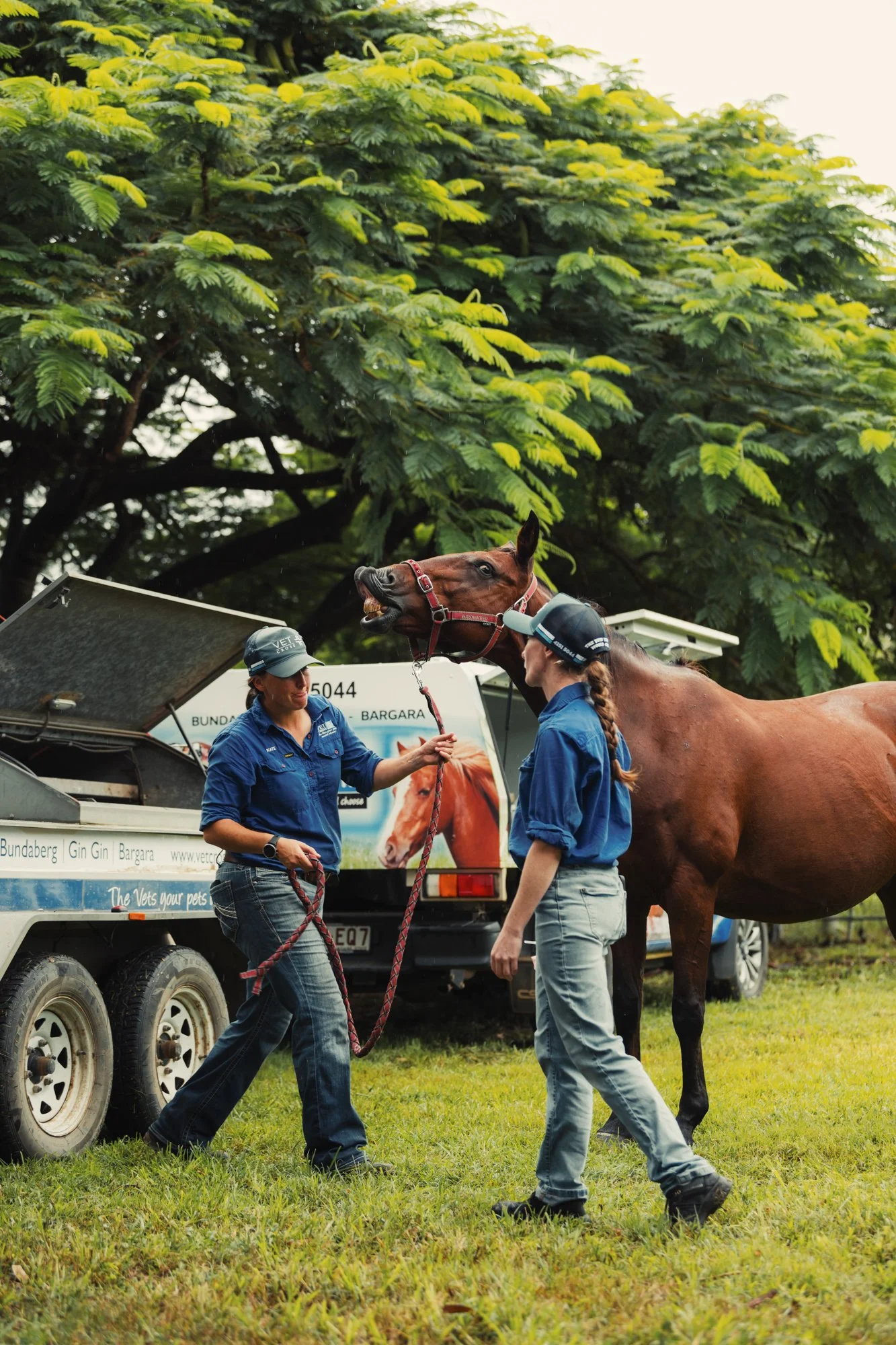 Vet Cross - April - Web - 43.jpg