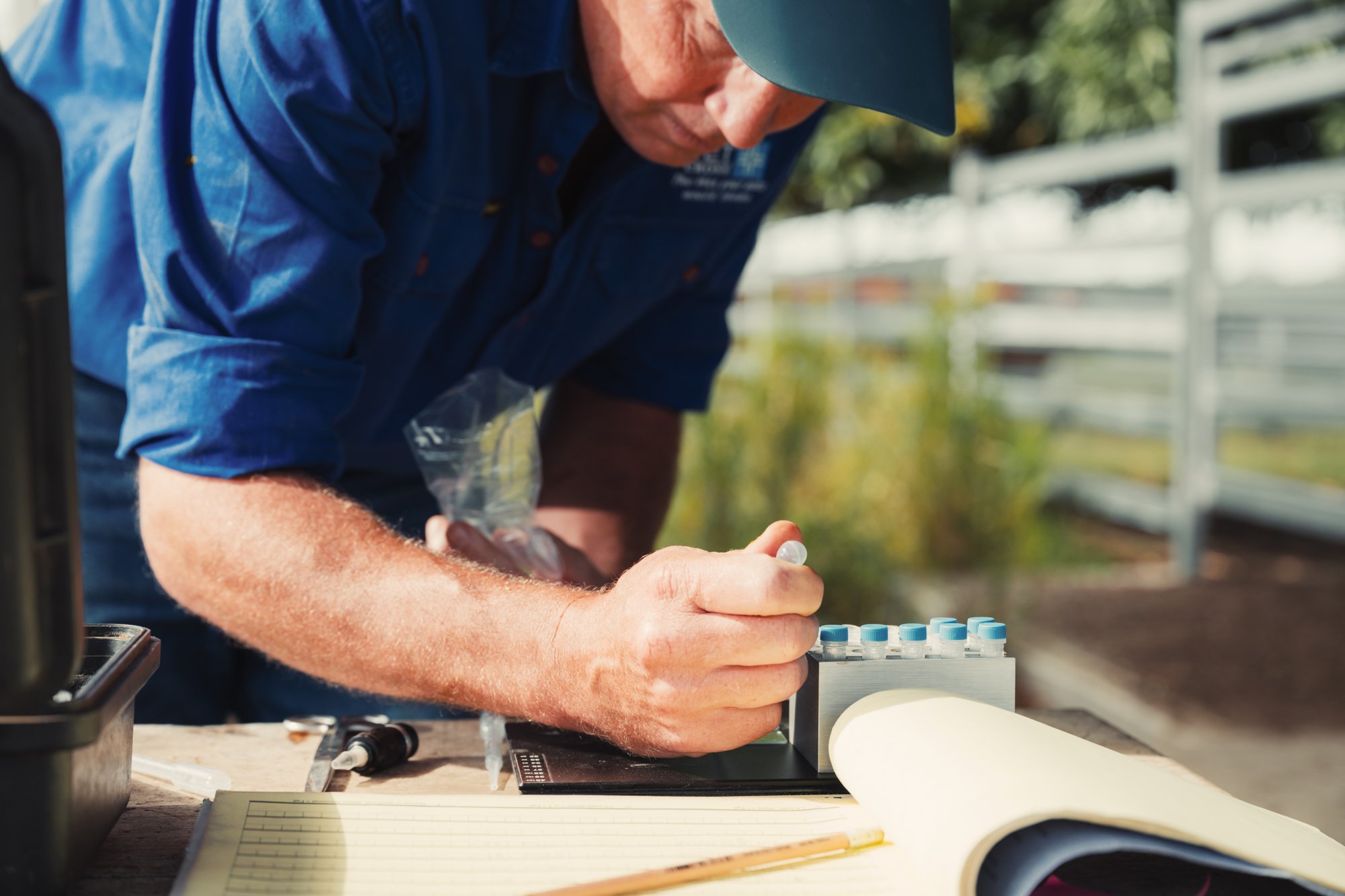 Vet Cross - Gin Gin - Web - 23.jpg