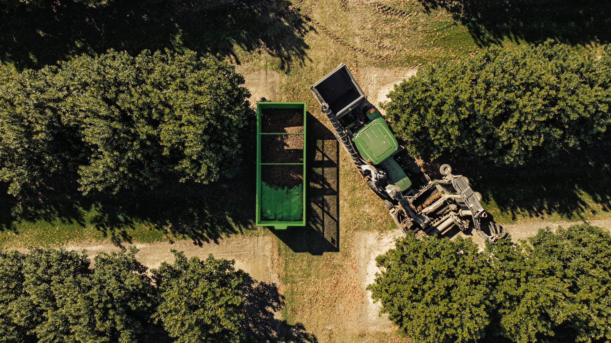 CHRIS SWEETAPPLE-Sheppard OS - Harvesting - Web - 14.jpg