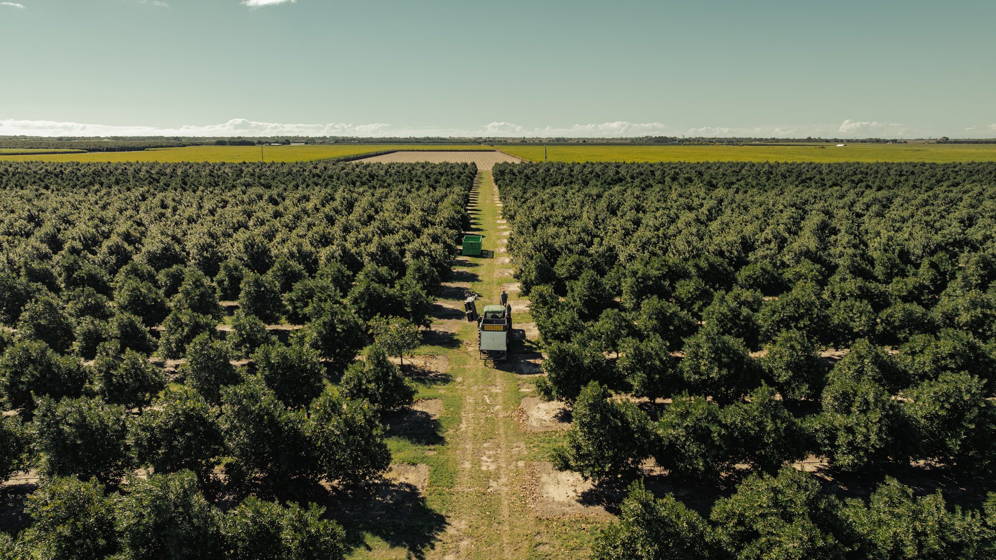 CHRIS SWEETAPPLE-Sheppard OS - Harvesting - Web - 13.jpg