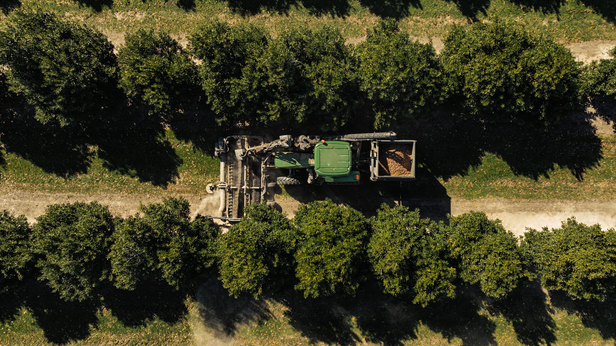 CHRIS SWEETAPPLE-Sheppard OS - Harvesting - Web - 9.jpg