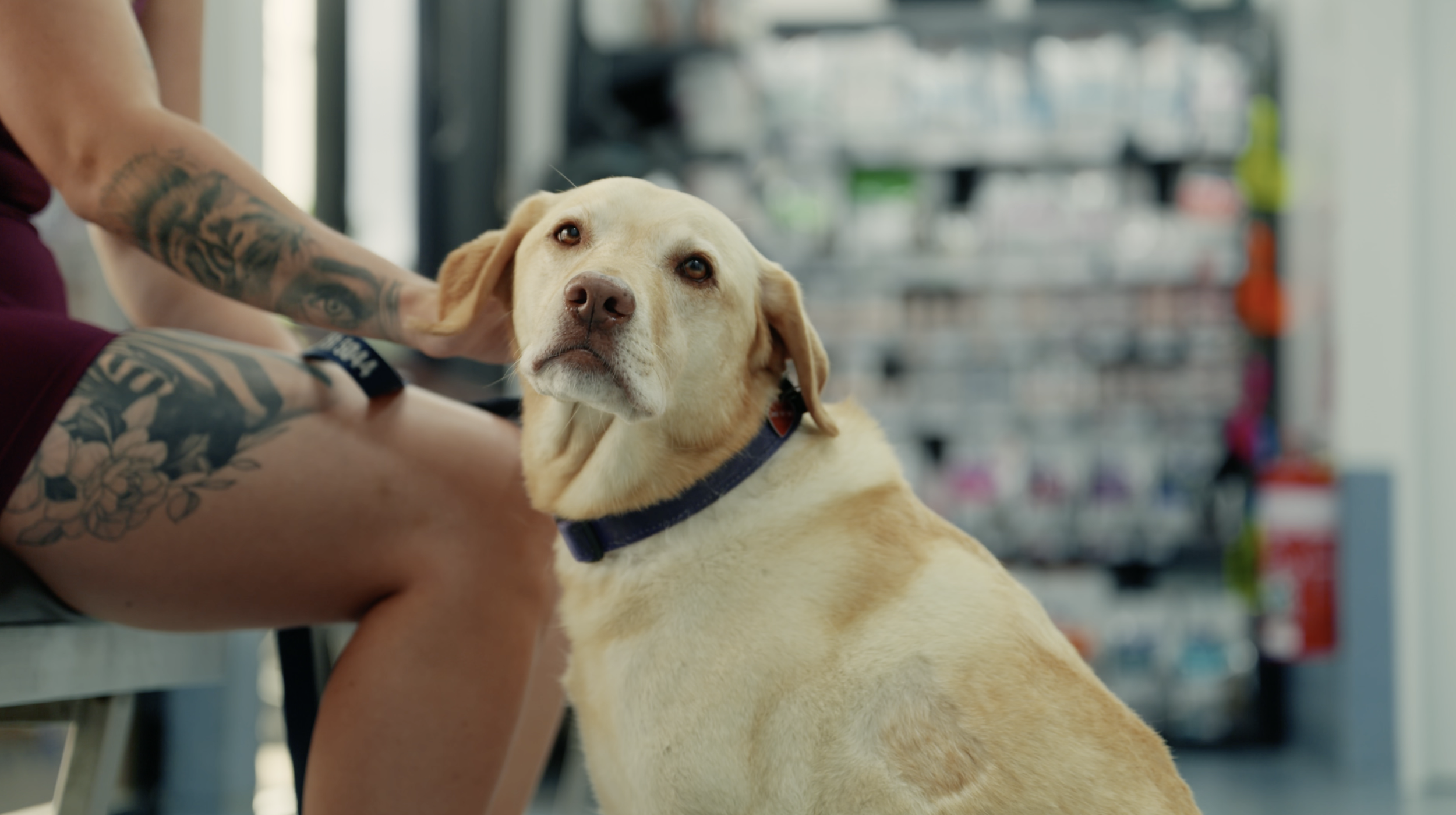 Screenshot 2026-01-15 at 5.16.25 pm.png