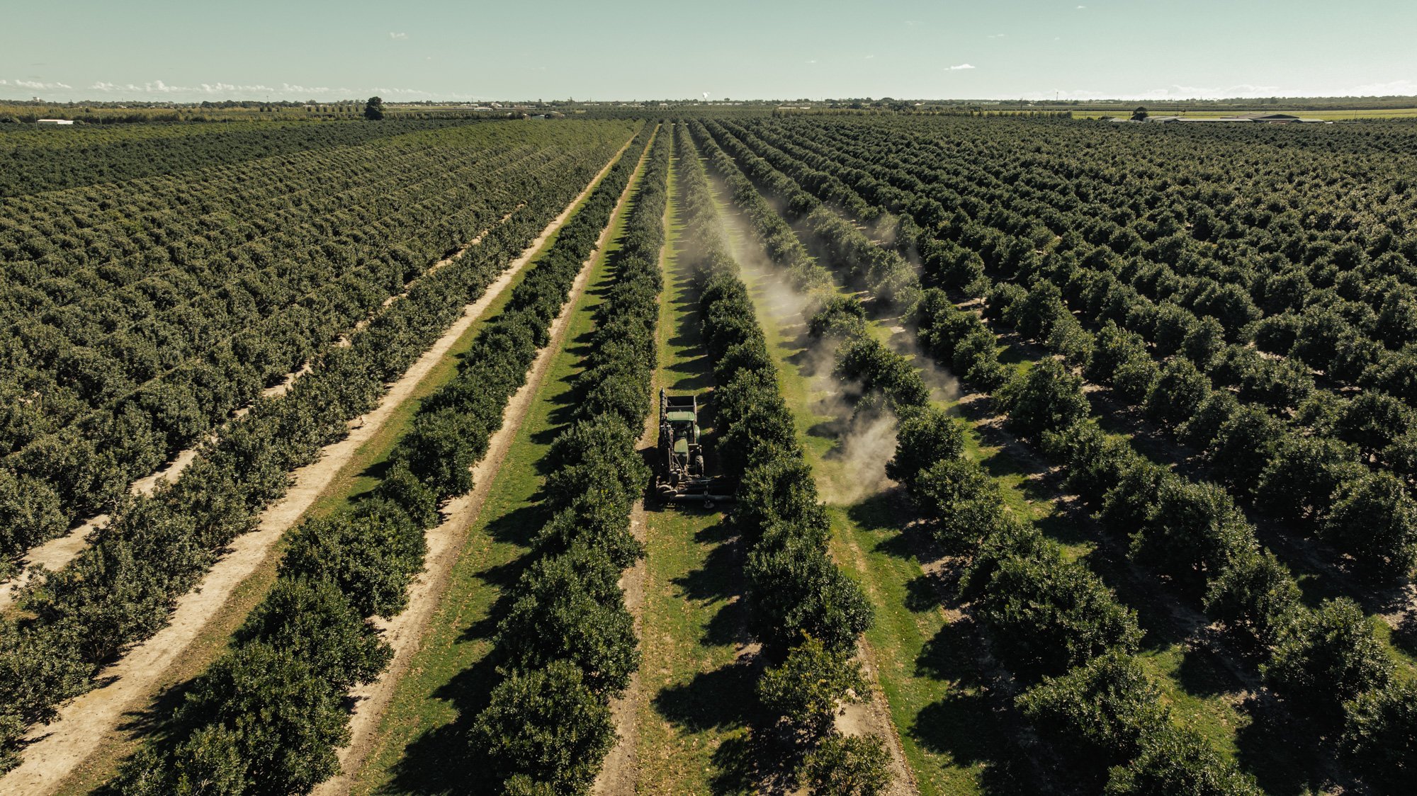 CHRIS SWEETAPPLE-Sheppard OS - Harvesting - Web - 5.jpg