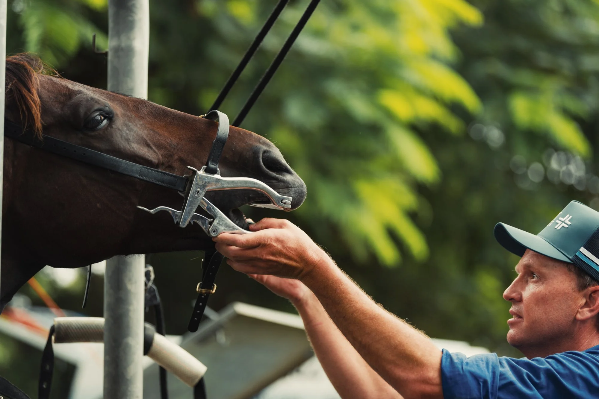 Vet Cross - April - Web - 69.jpg