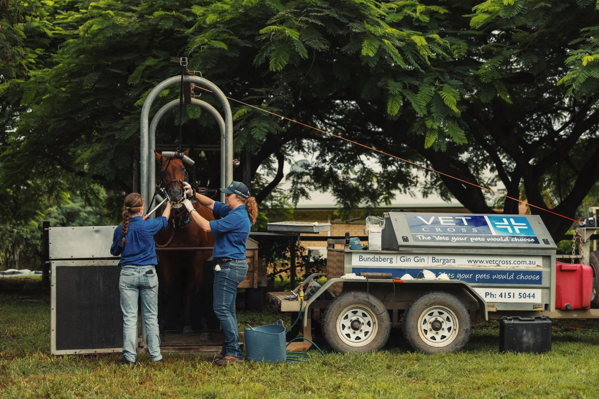 Vet Cross - April - Web - 135.jpg