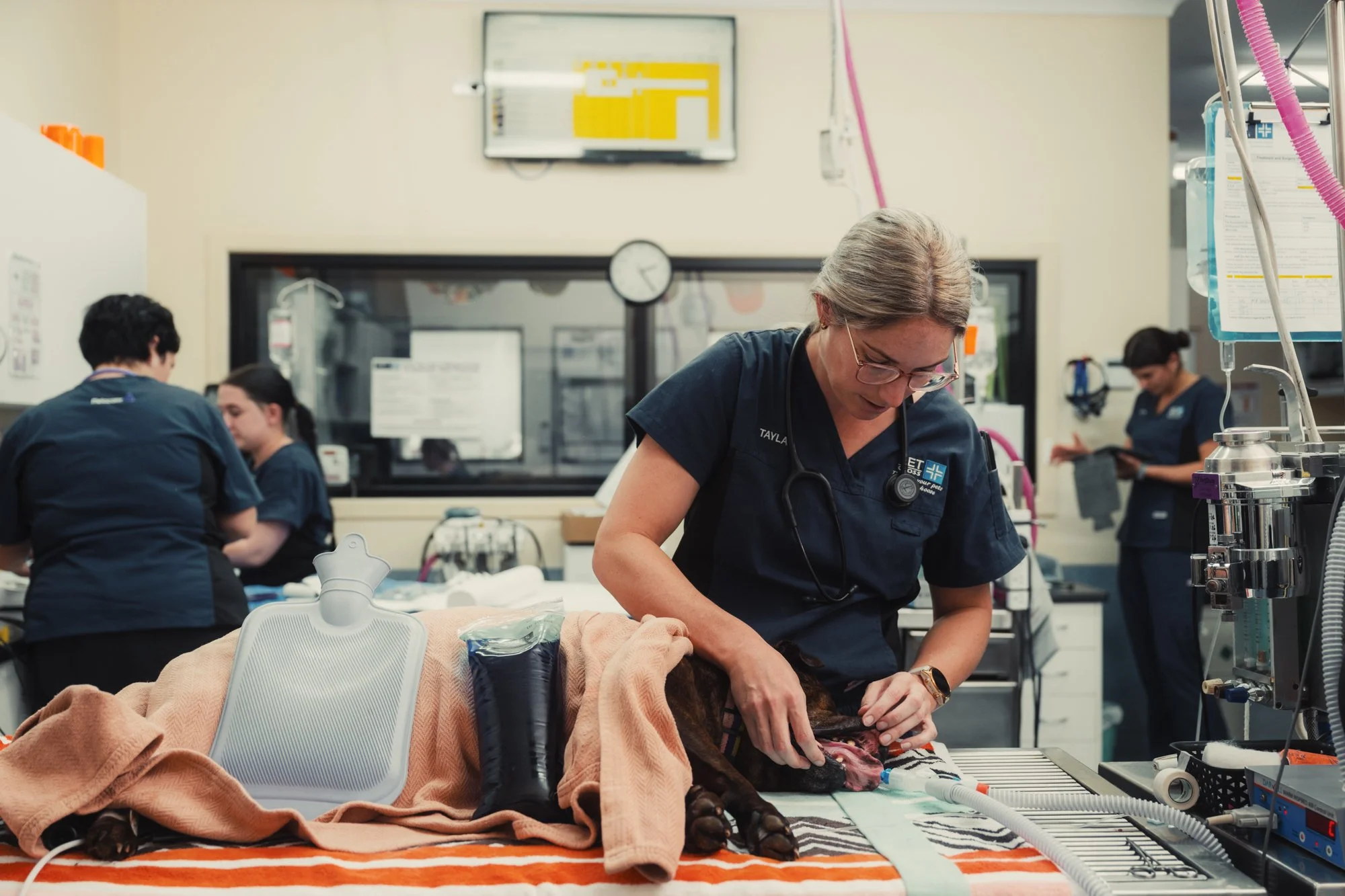 Vet Cross - May - Web - 137.jpg