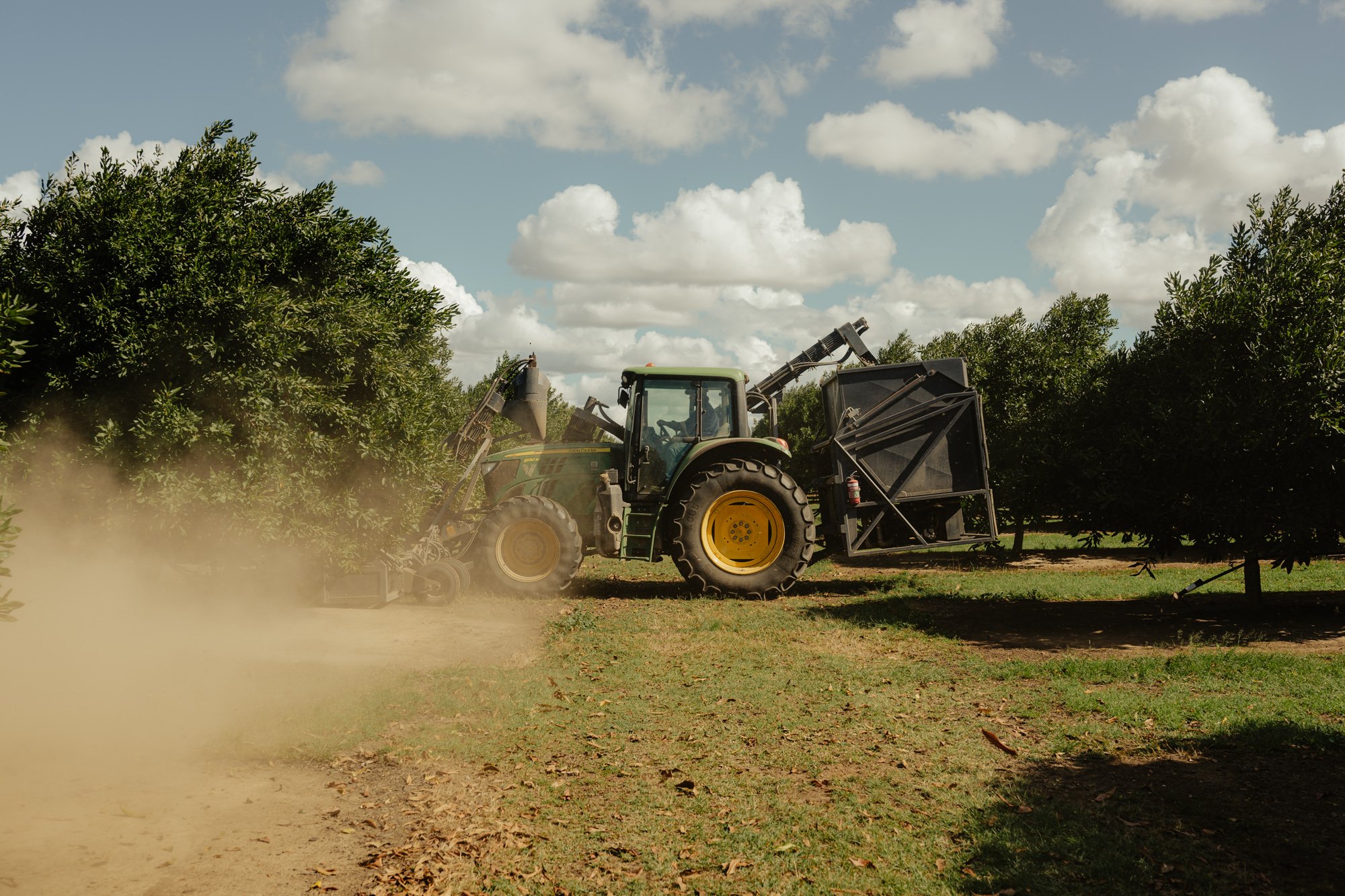CHRIS SWEETAPPLE-Sheppard OS - Harvesting - Web - 57.jpg