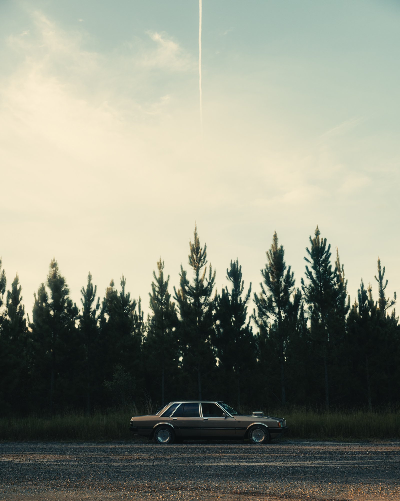 CHRIS SWEETAPPLE - LTD - S2 - 1.jpg