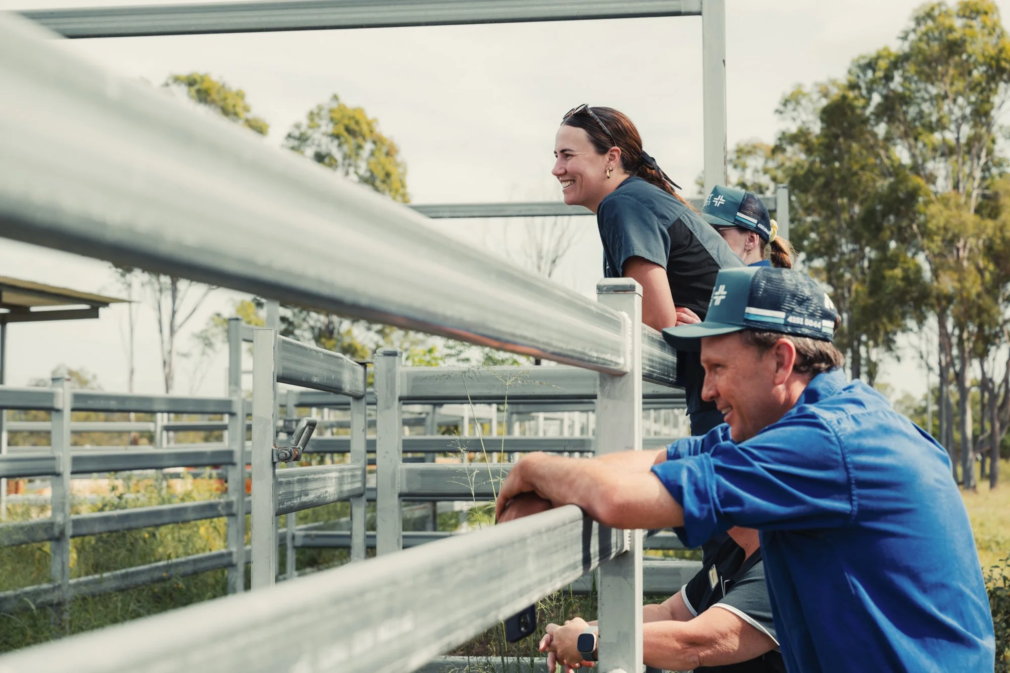 Vet Cross - Gin Gin - Web - 55.jpg