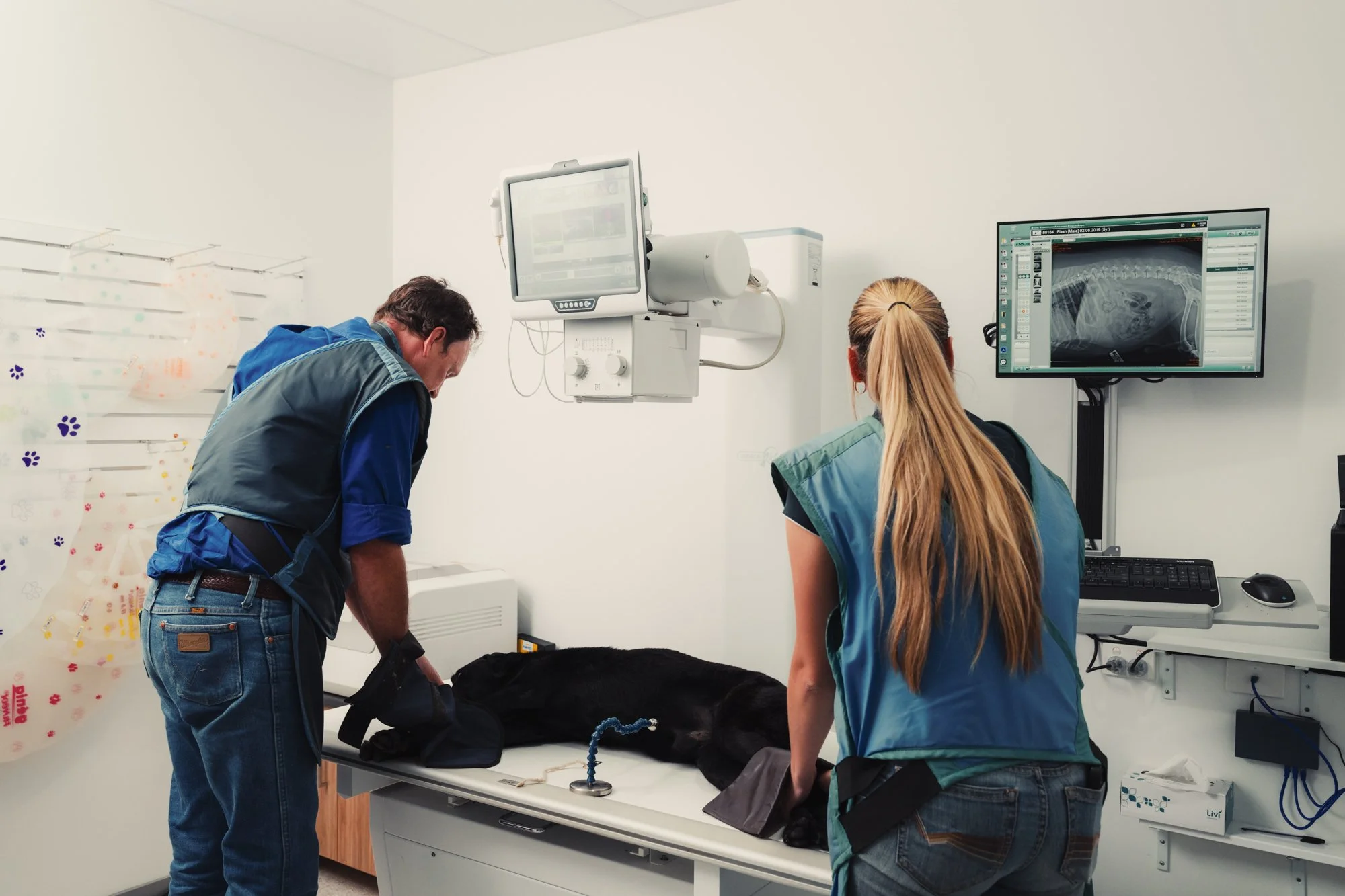 Vet Cross - Gin Gin - Web - 131.jpg