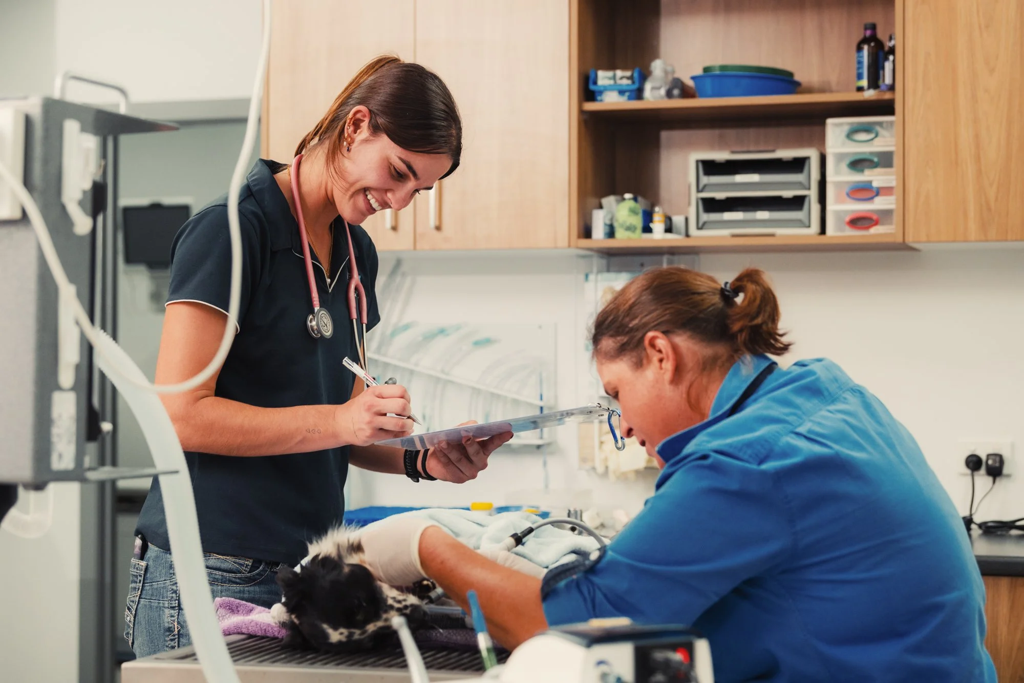 Vet Cross - Gin Gin - Web - 119.jpg