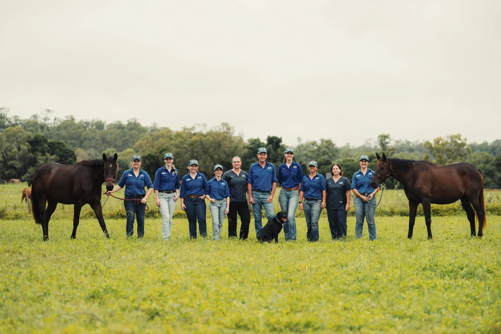 Vet Cross - April - Web - 2.jpg