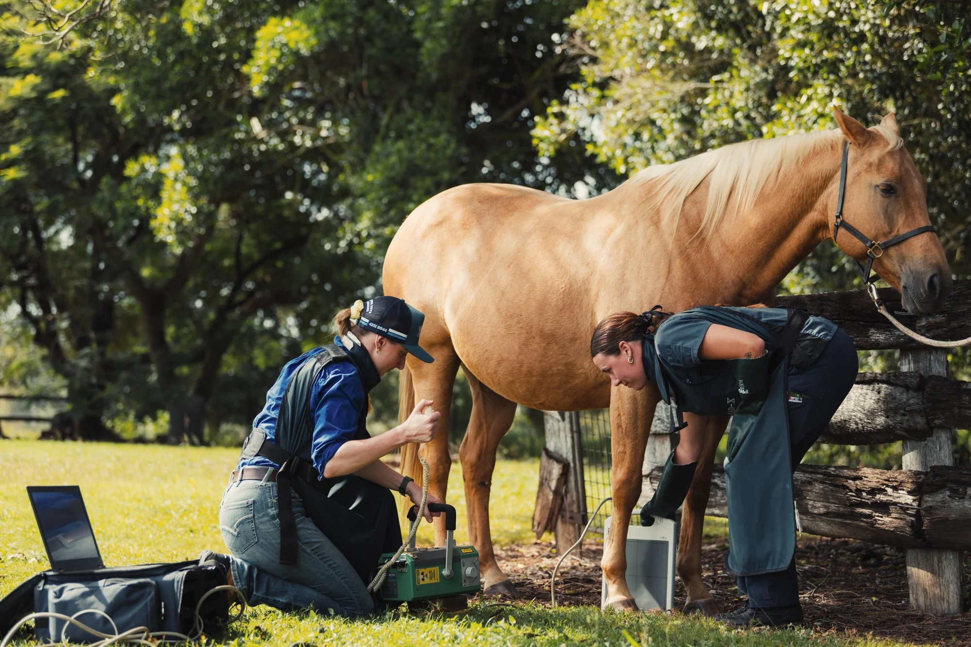 Vet Cross - Gin Gin - Web - 83.jpg