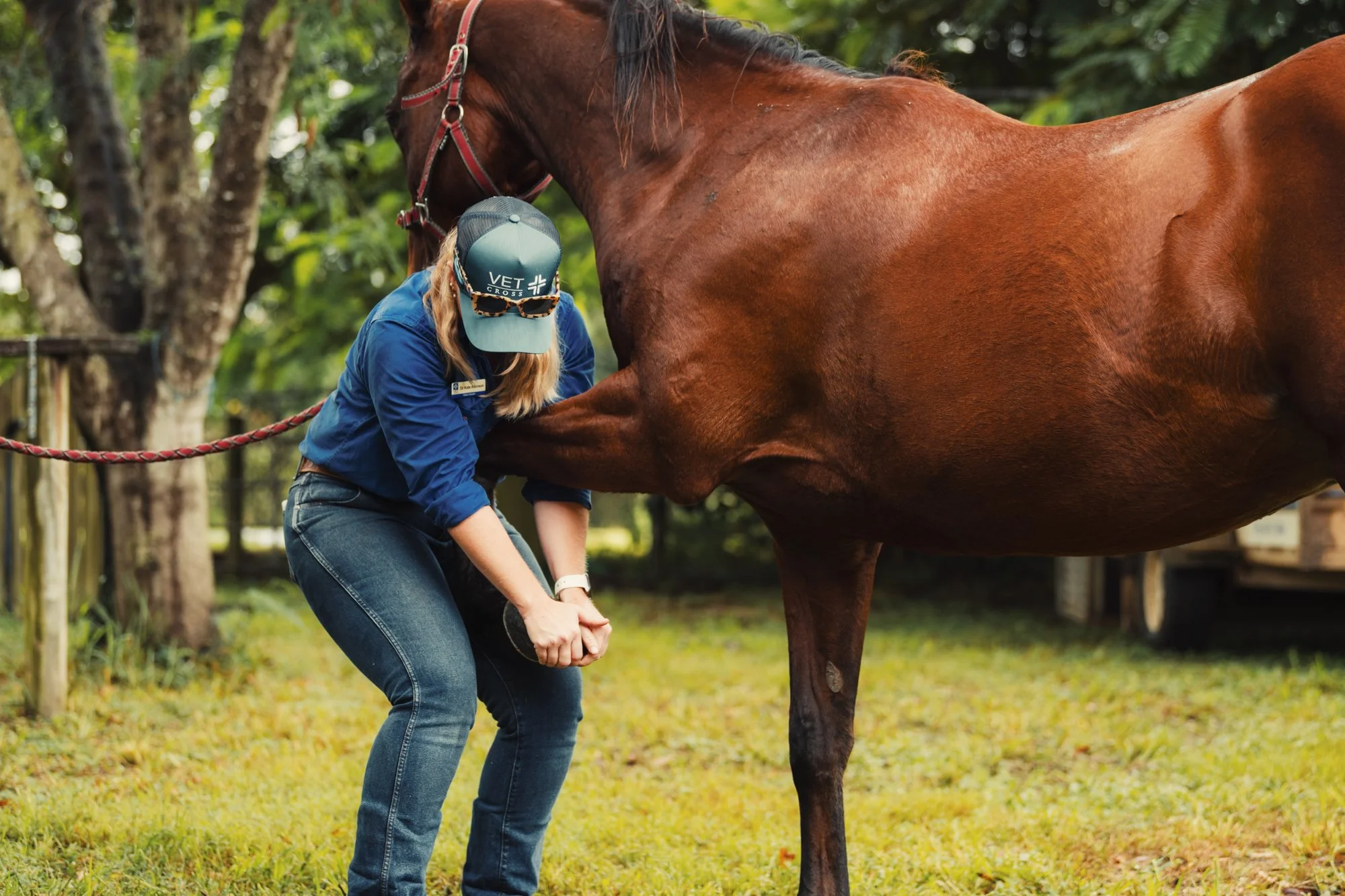 Vet Cross - April - Web - 37.jpg