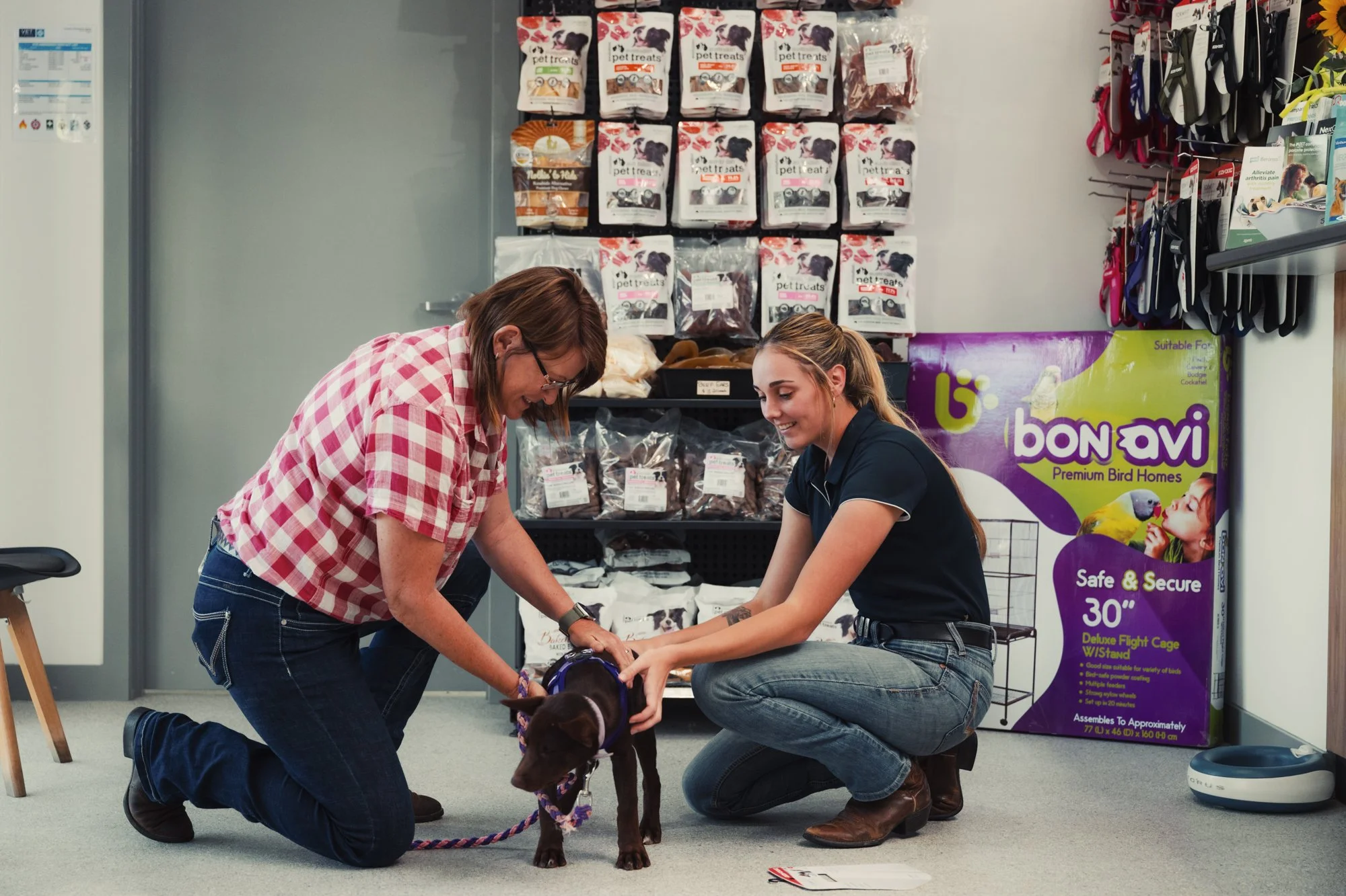 Vet Cross - Gin Gin - Web - 173.jpg